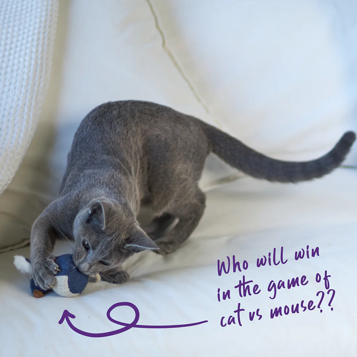 Big Ears Mouse With Catnip Cat Toy - Image 5