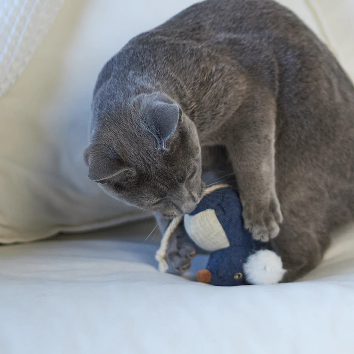 Big Ears Mouse With Catnip Cat Toy - Image 6