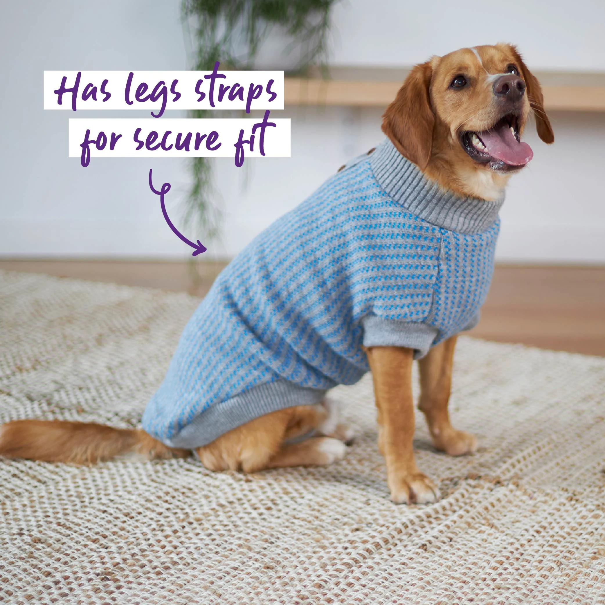 Blue Button Up Knit Dog Jumper - Image 5