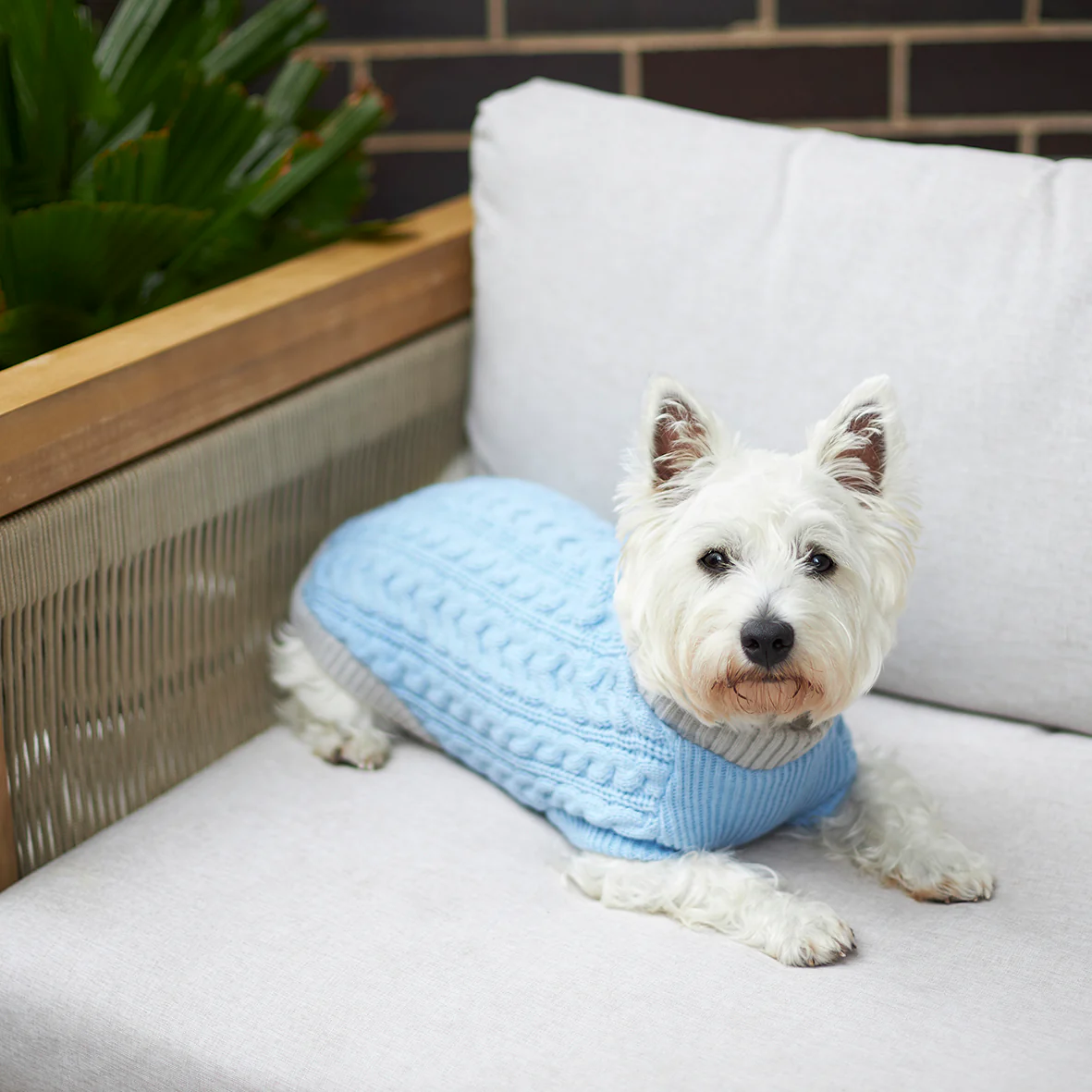 Blue Cloud Cable Knit Dog Jumper - Image 8