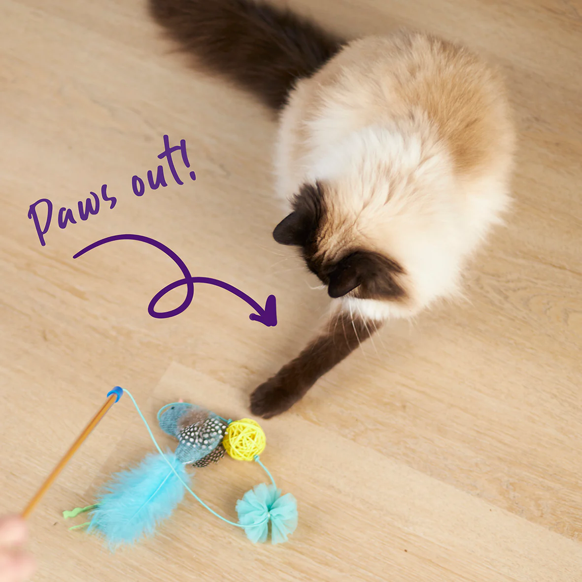 Bluebird Chase & Play Wand - Image 8