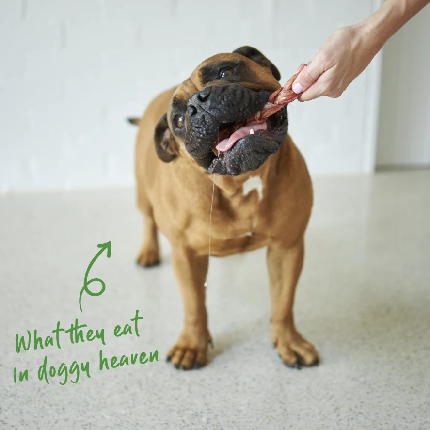 Braided Beef Sticks Dog Treats - Image 4