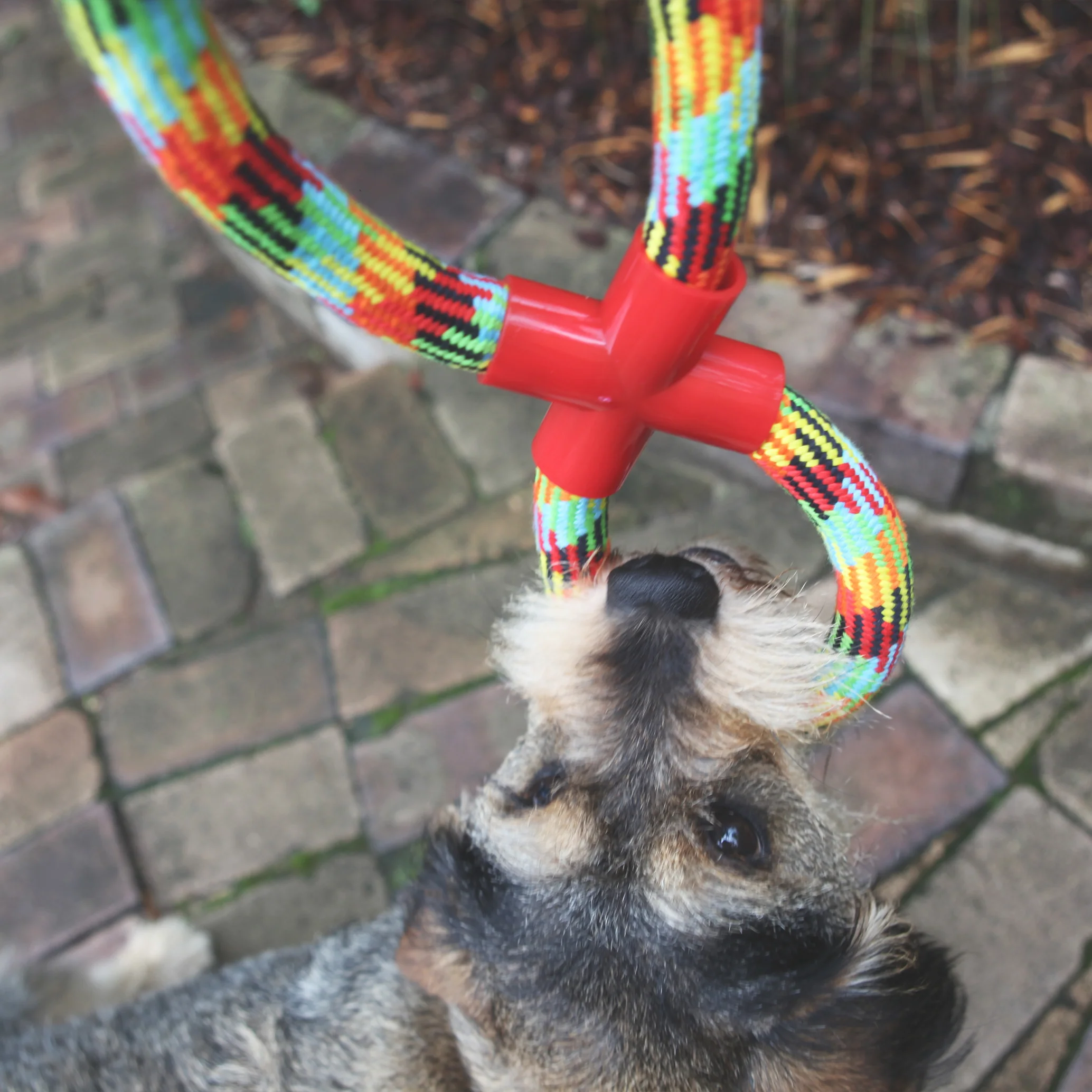 Braided Rope Figure 8 Tug Dog Toy - Image 3