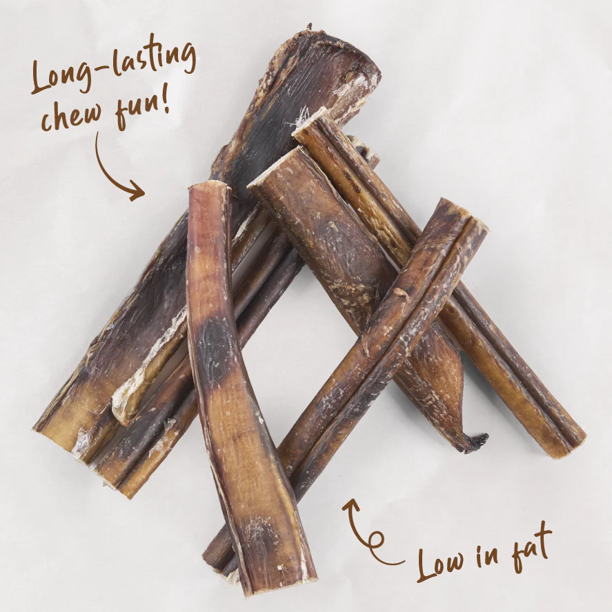 Aussie Bull Chew Dog Treats - Image 3