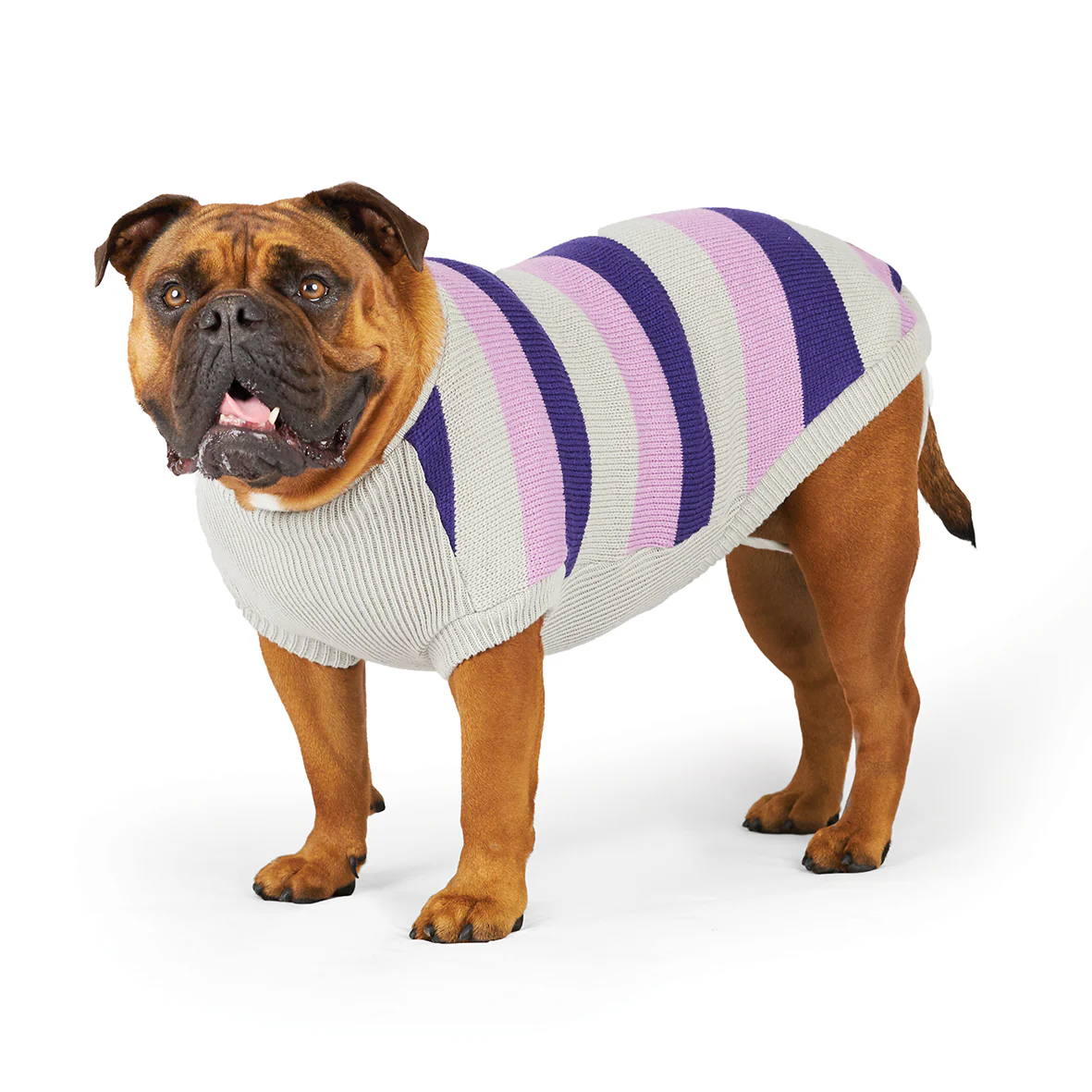 Bumble Dog Jumper - Lavender - Image 10