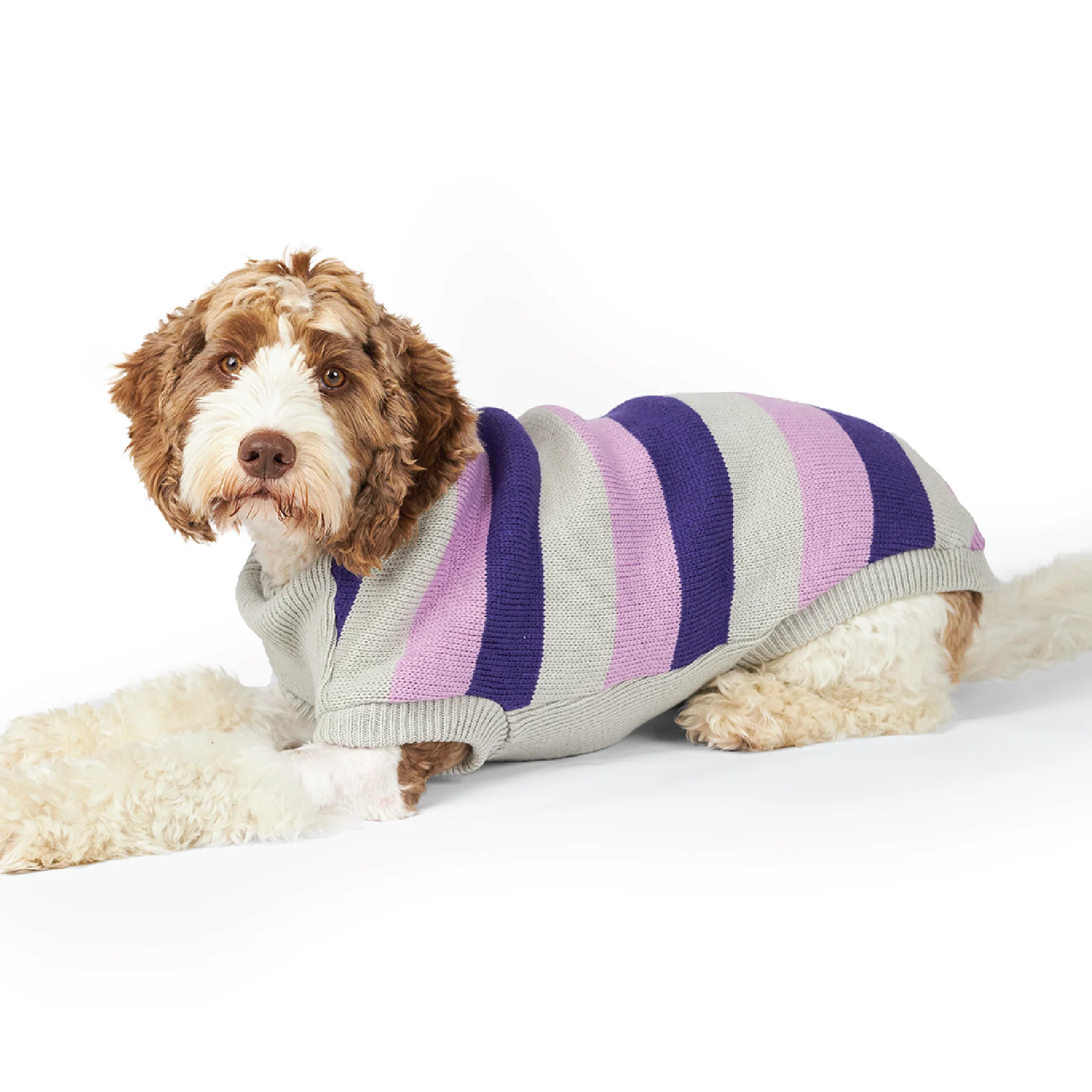Bumble Dog Jumper - Lavender - Image 11