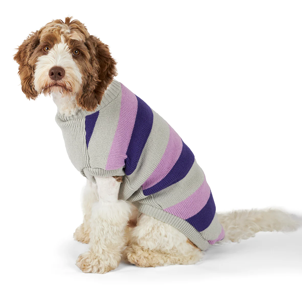 Bumble Dog Jumper - Lavender - Image 3