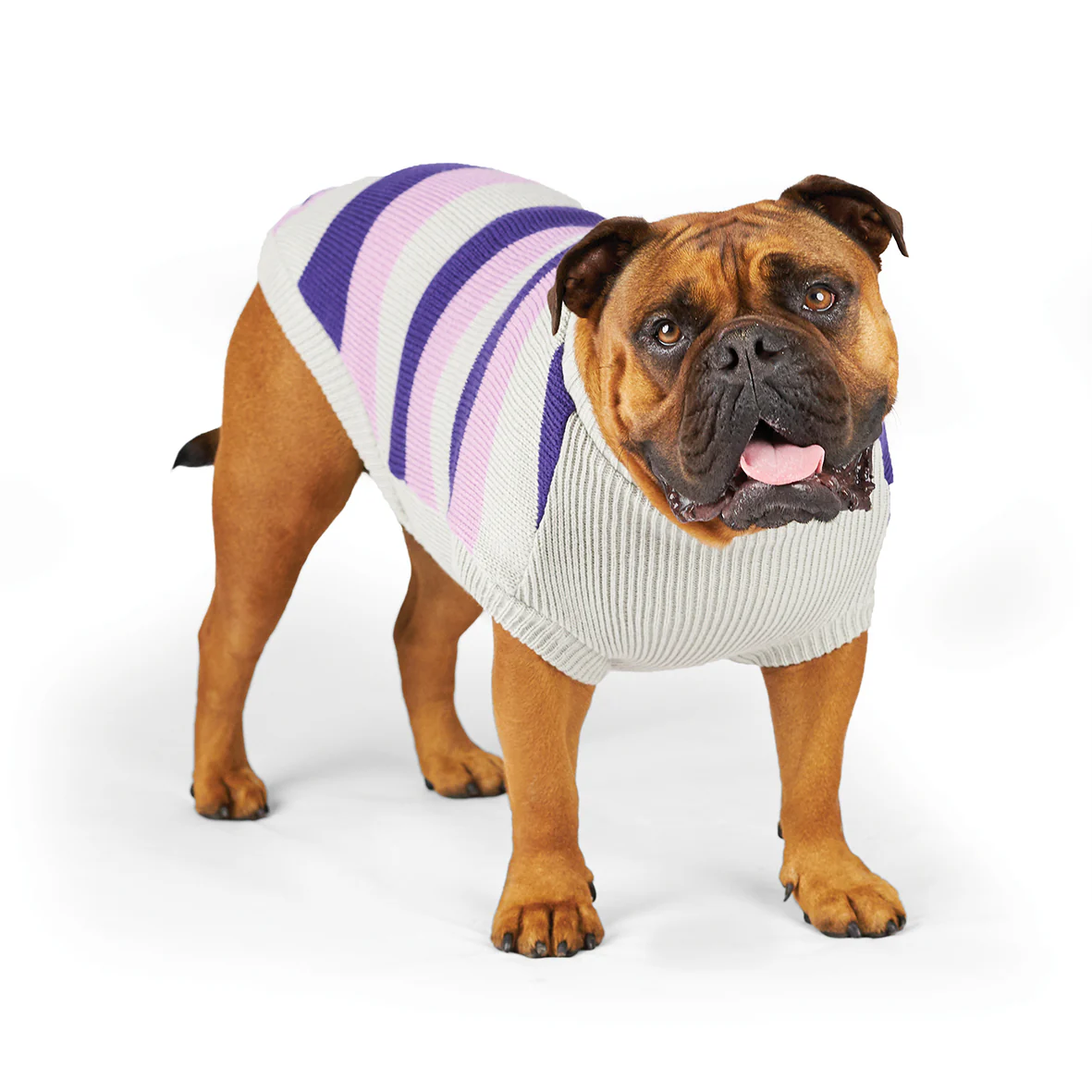 Bumble Dog Jumper - Lavender - Image 4