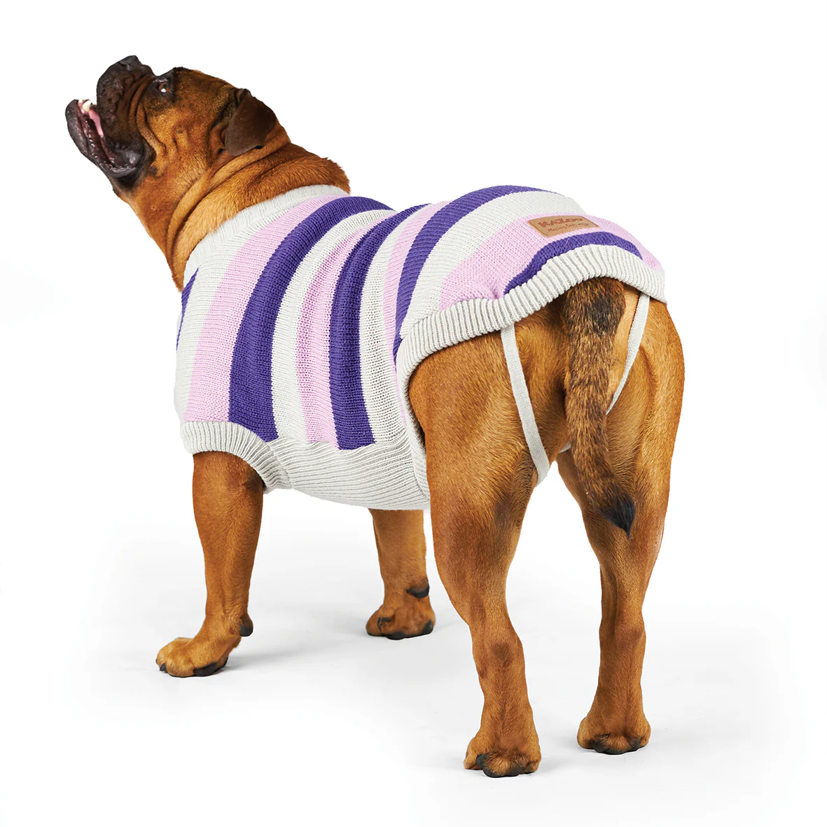 Bumble Dog Jumper - Lavender - Image 6