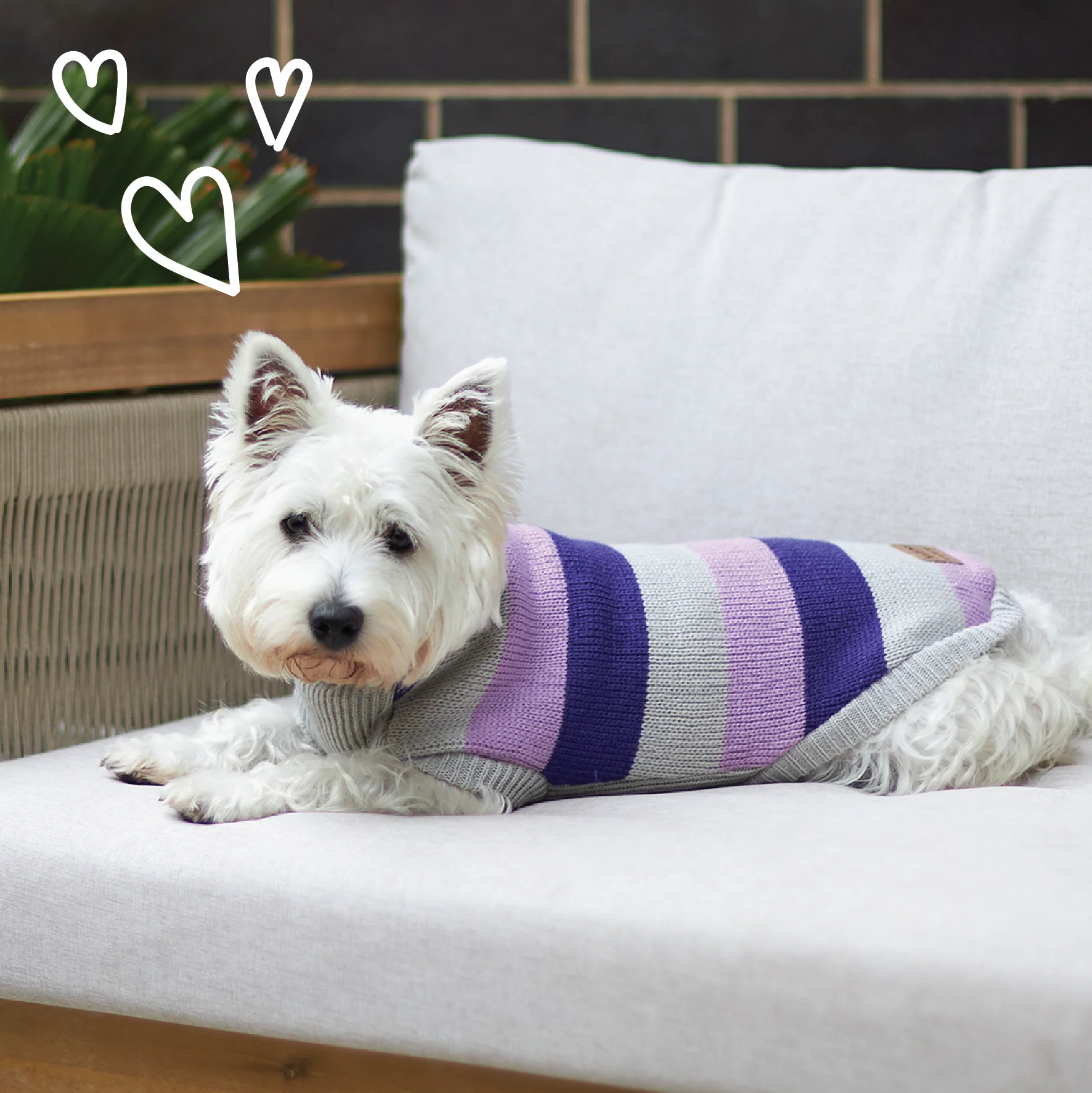 Bumble Dog Jumper - Lavender - Image 9