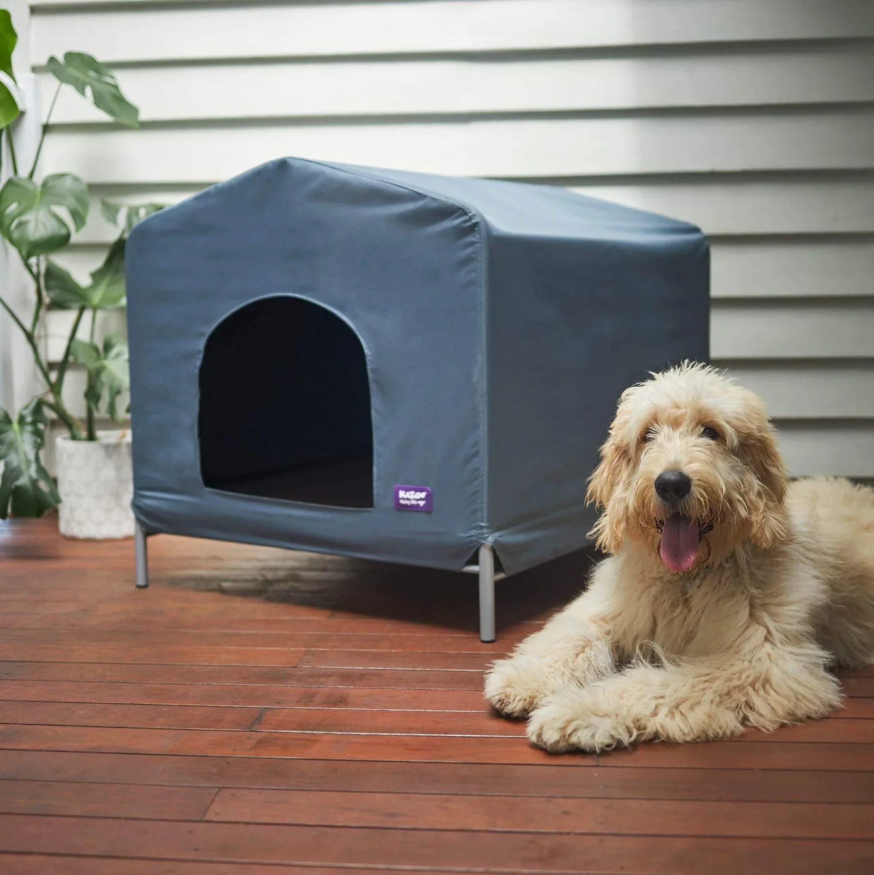 Cabana Dog House - Cobalt - Image 4