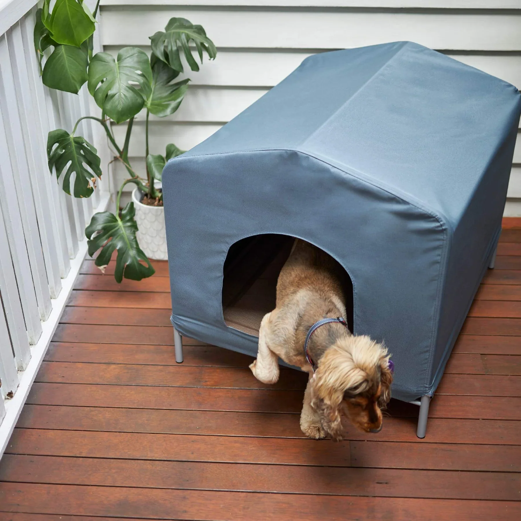 Cabana Dog House - Cobalt - Image 5