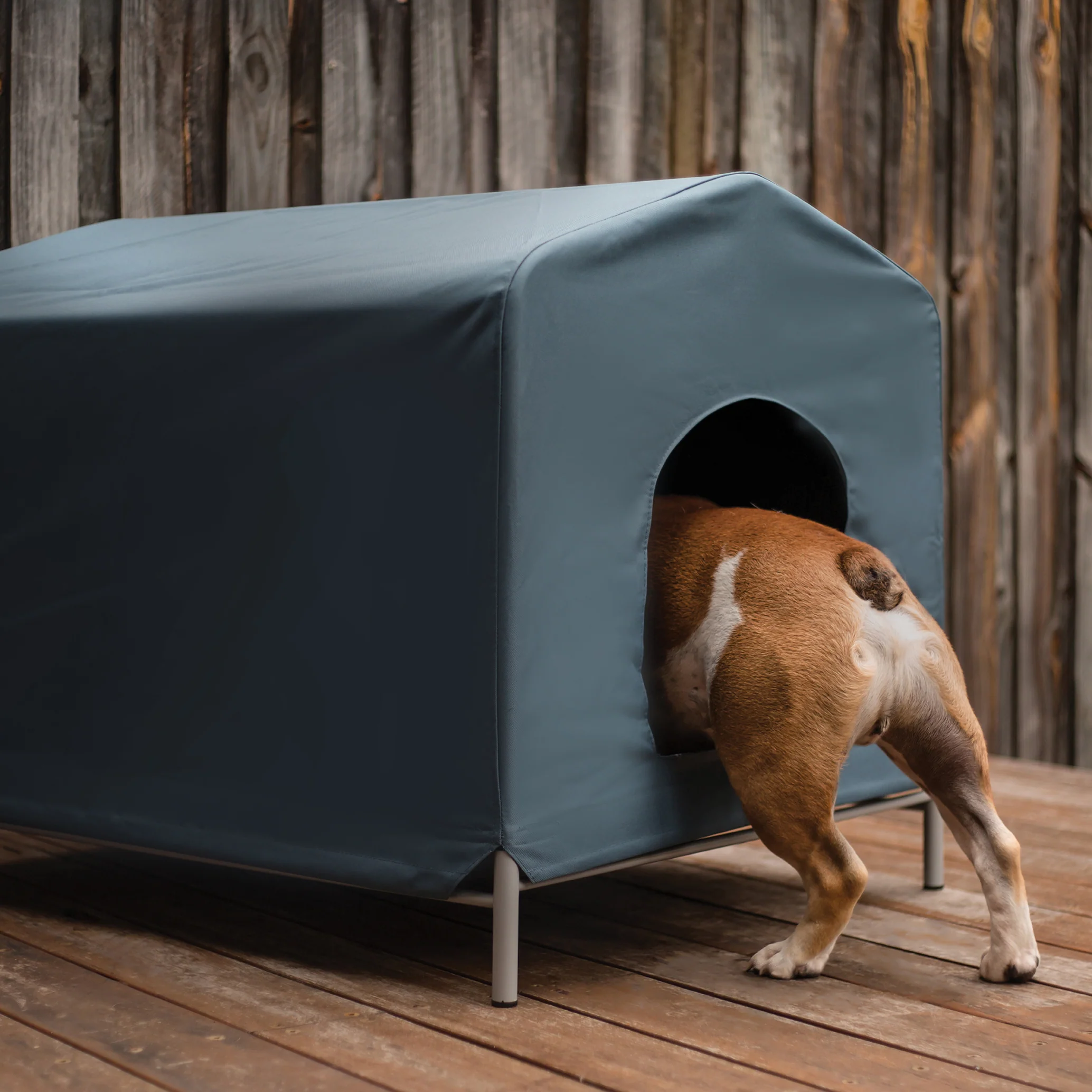 Cabana Dog House - Cobalt - Image 6