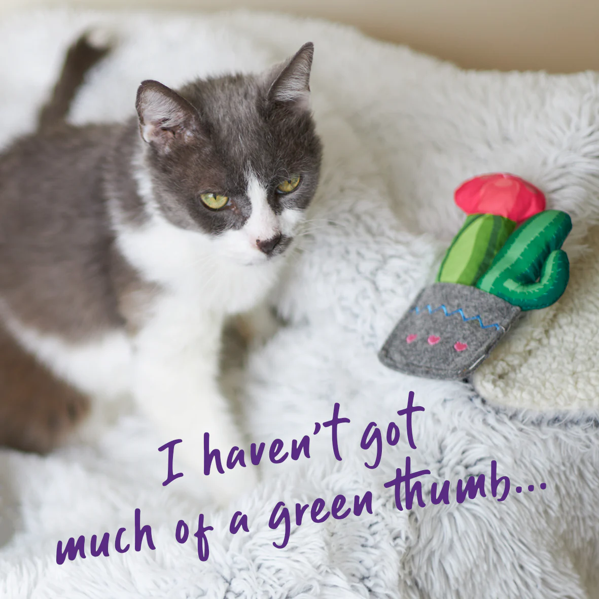 Cactus Garden cat toy w/ catnip - Image 3