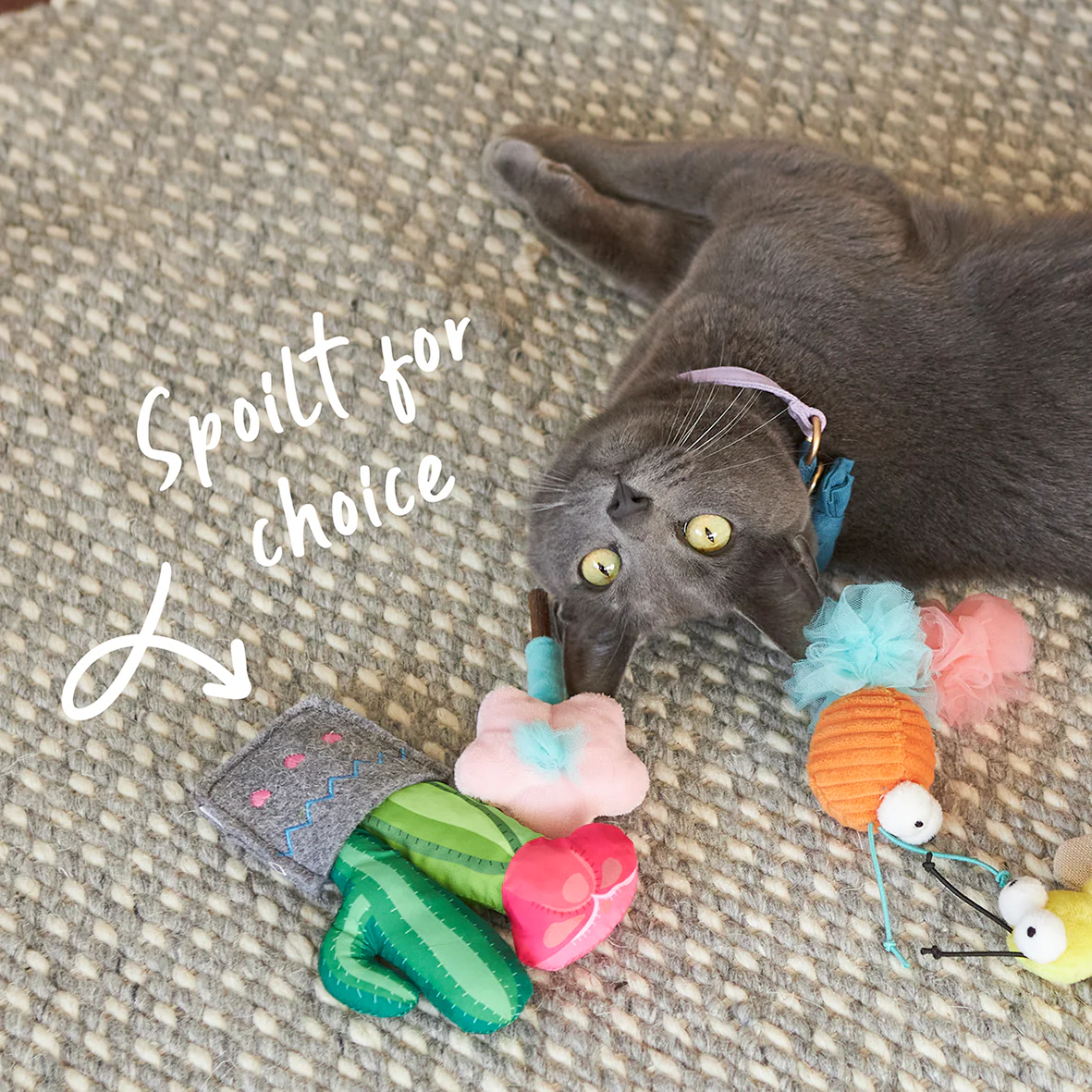 Cactus Garden cat toy w/ catnip - Image 4