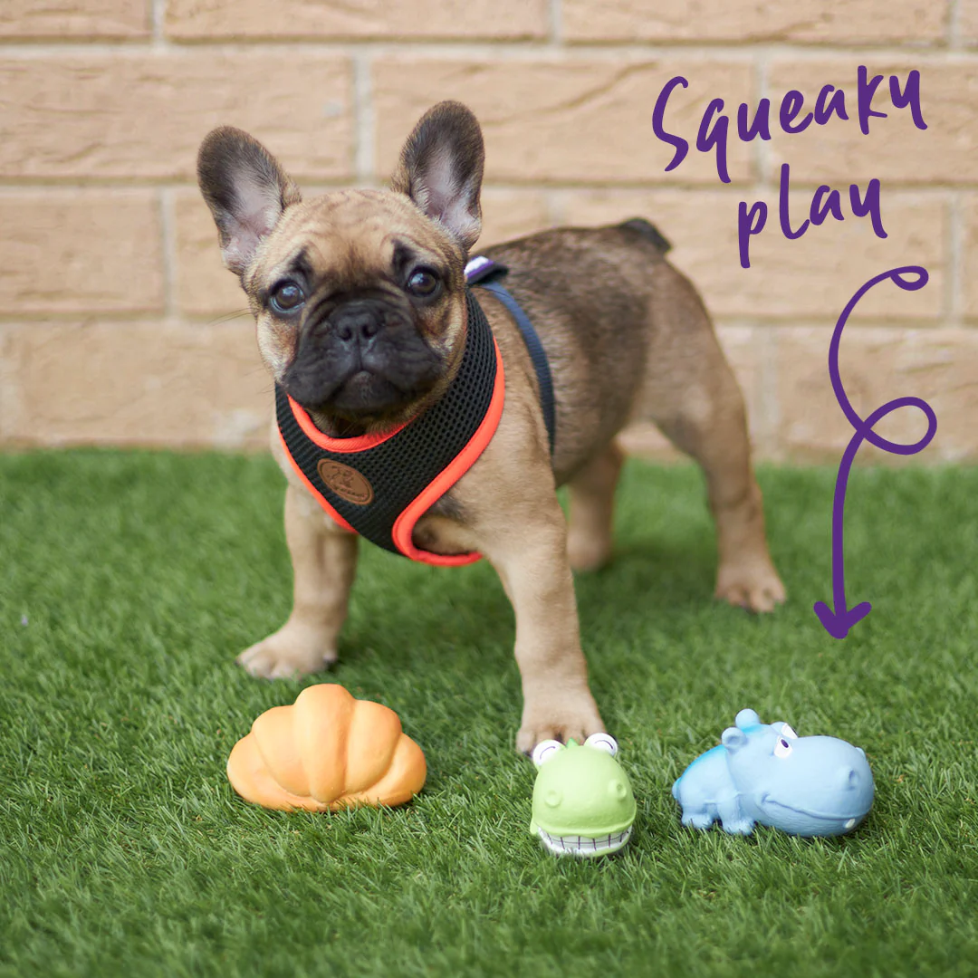 Cafe Woof - Minis Dog Toys (1pc) - Image 2