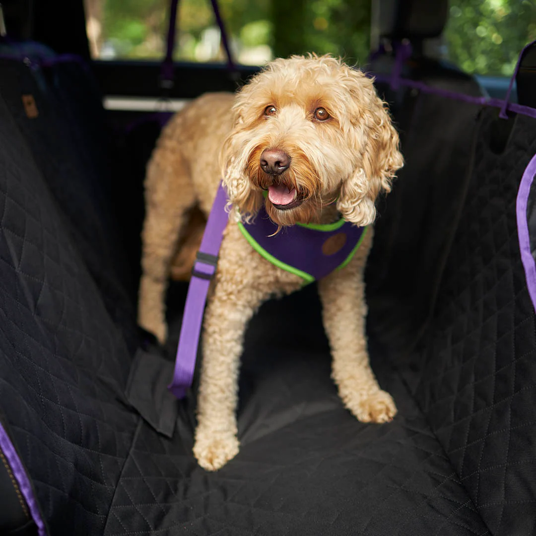 Dog Car Seat Cover - Image 11