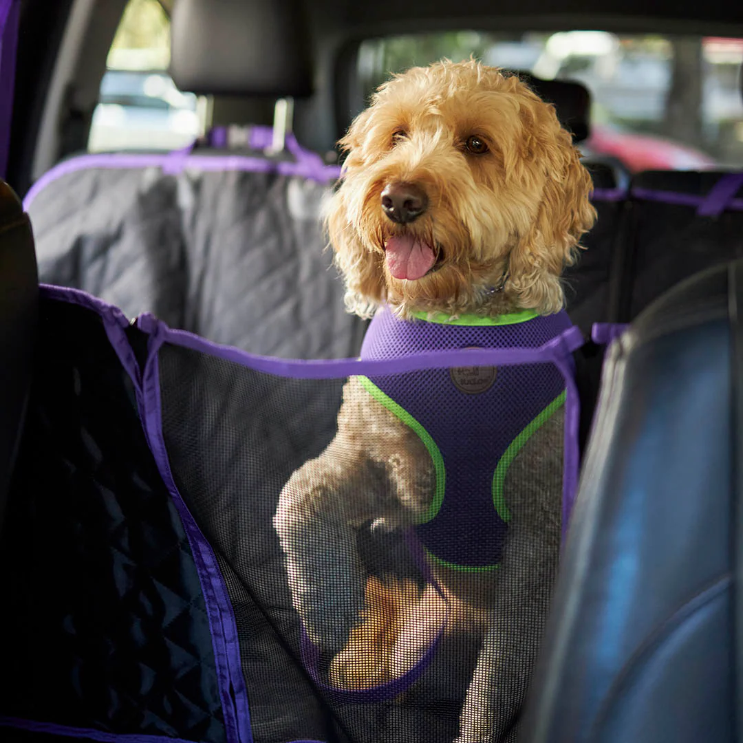 Dog Car Seat Cover - Image 12