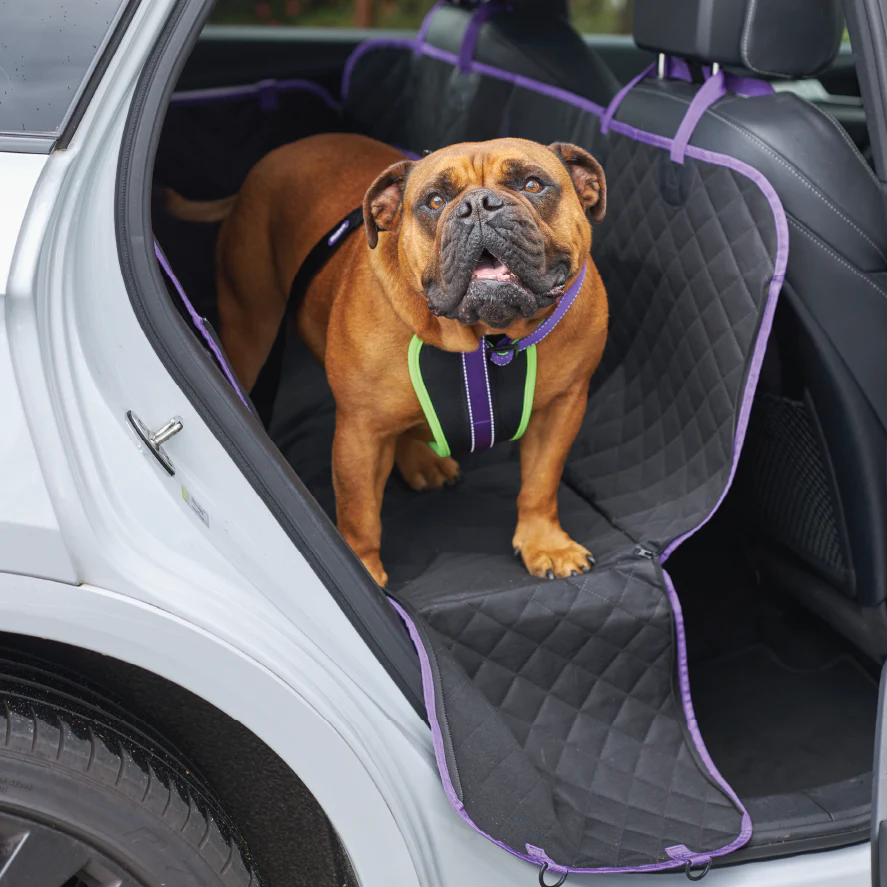 Dog Car Seat Cover - Image 3