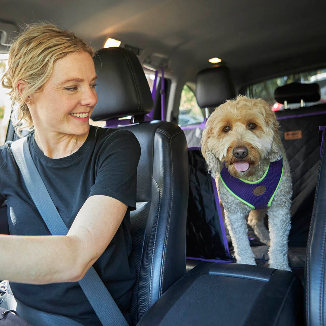 Dog Car Seat Cover - Image 4
