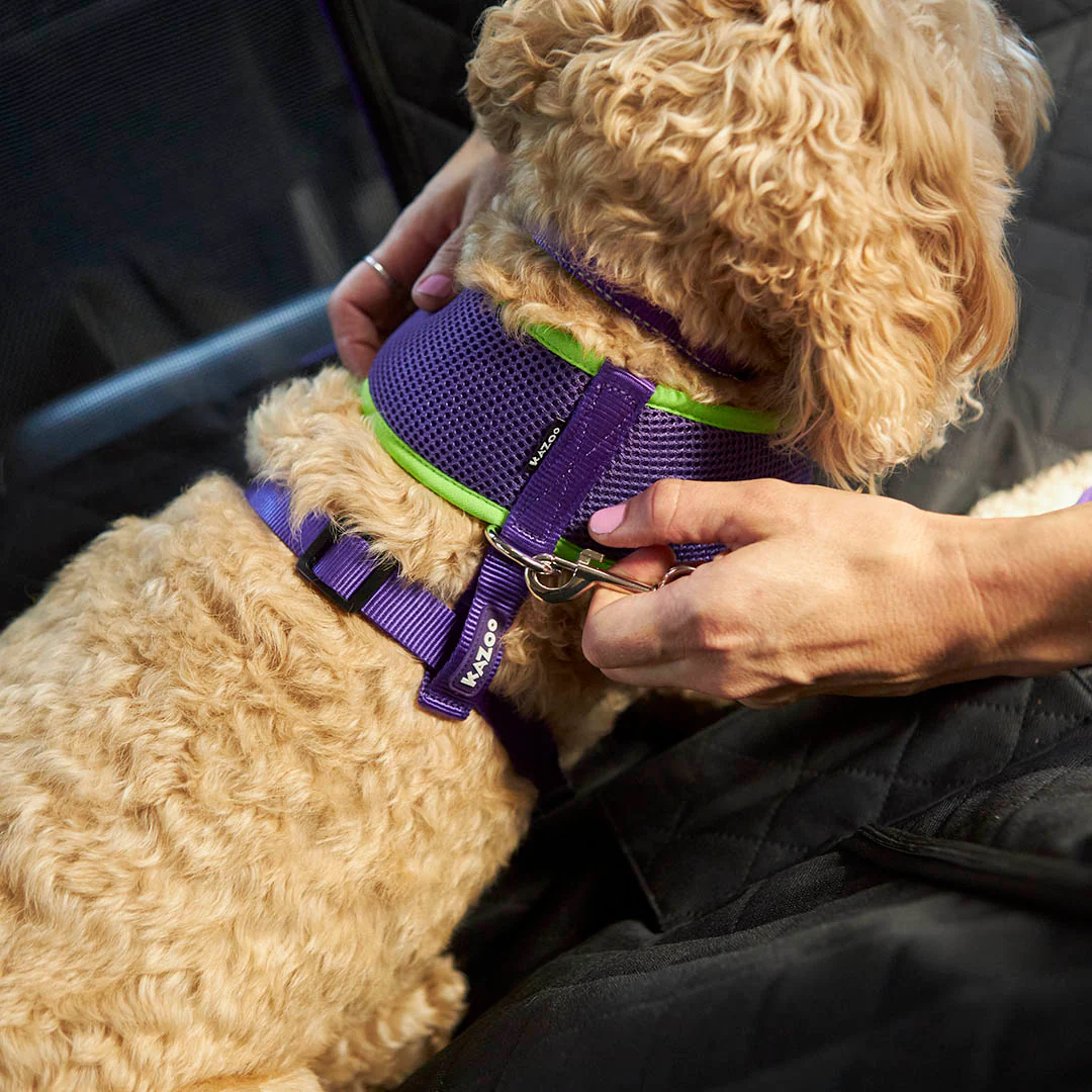 Dog Car Seat Cover - Image 9