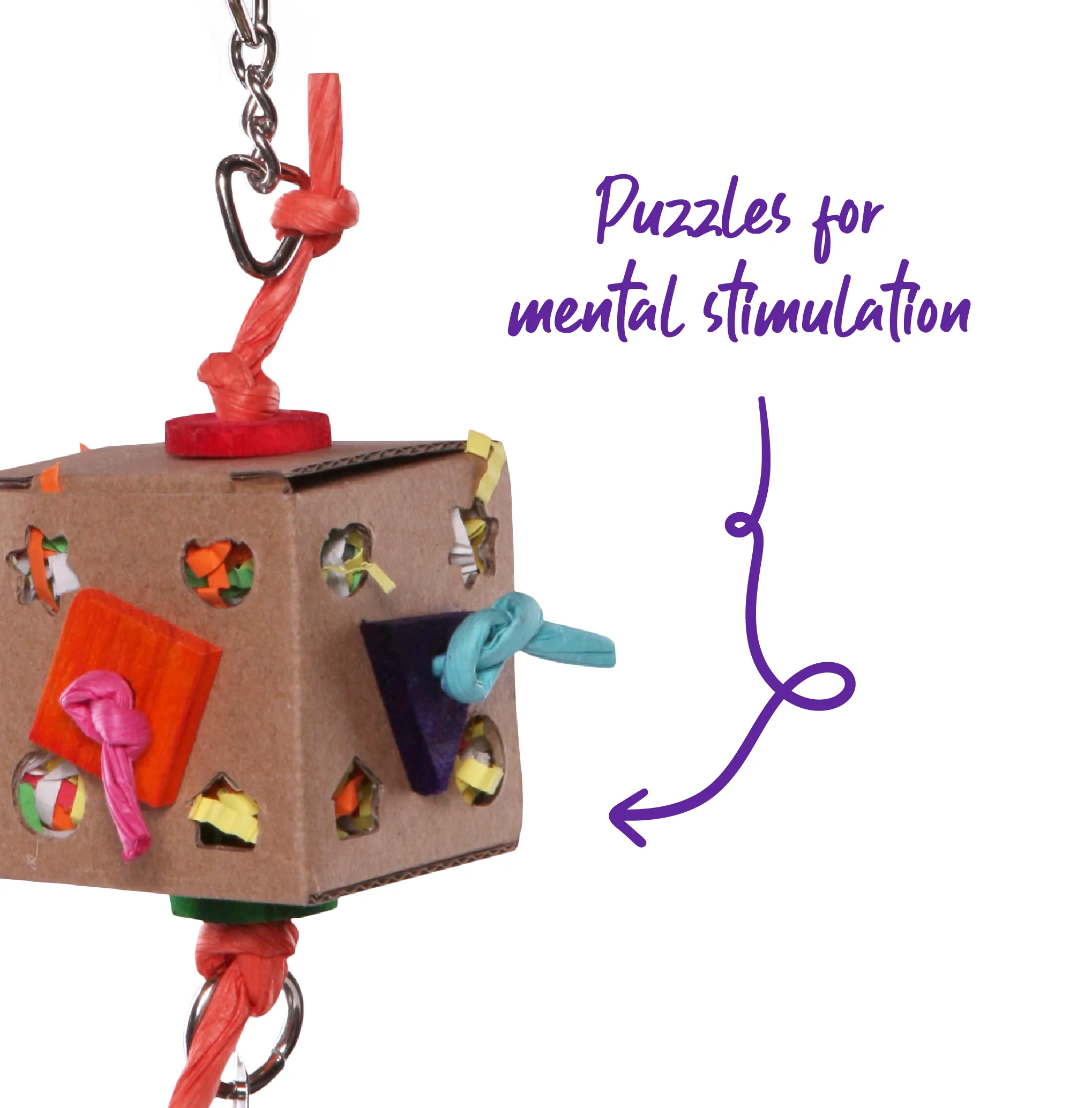 Cardboard Activity Box with Bell Bird Toy - Image 3
