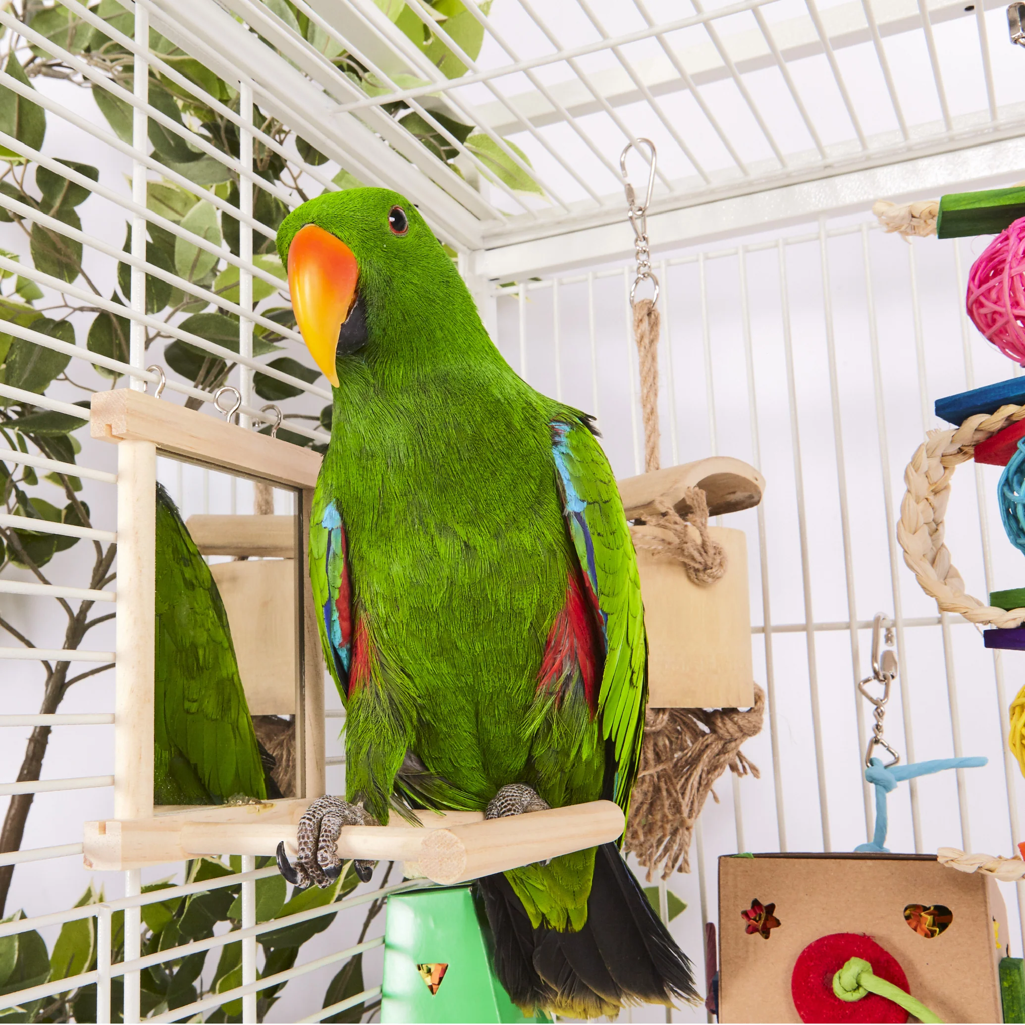 Cardboard Activity Box with Bell Bird Toy - Image 4
