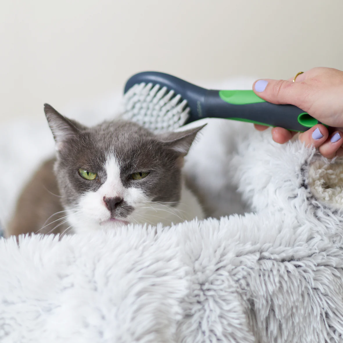 Soft Cat Brush - Image 4