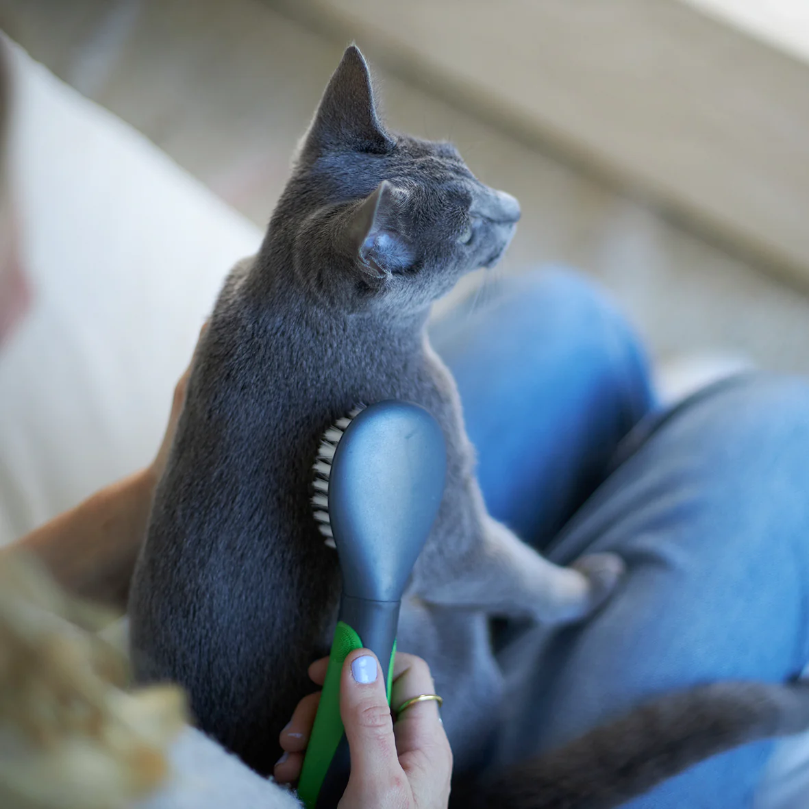 Soft Cat Brush - Image 5