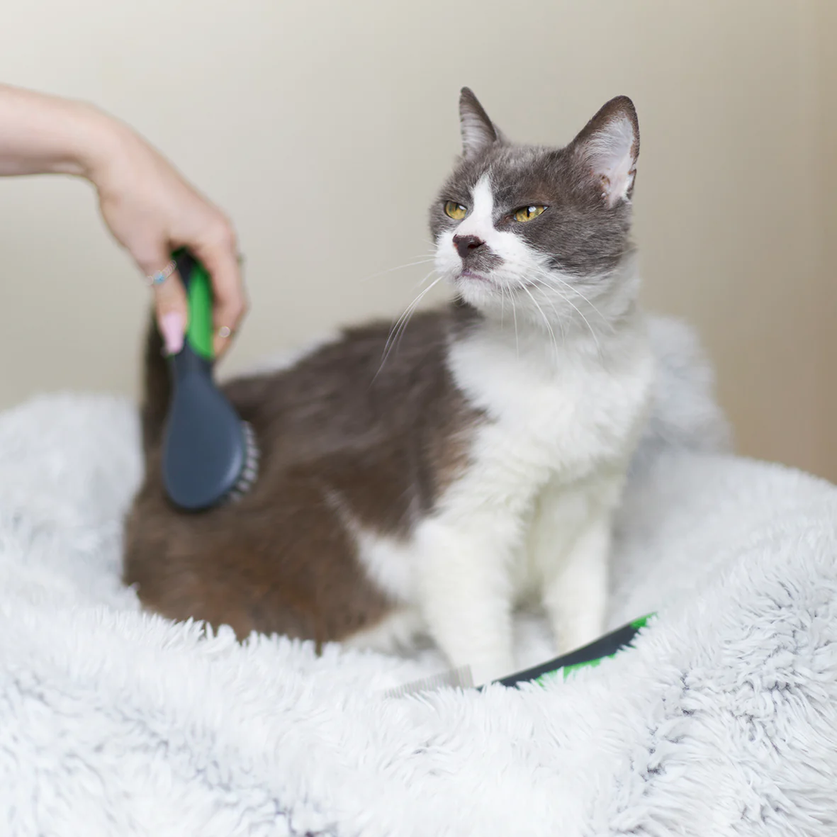 Soft Cat Brush - Image 6