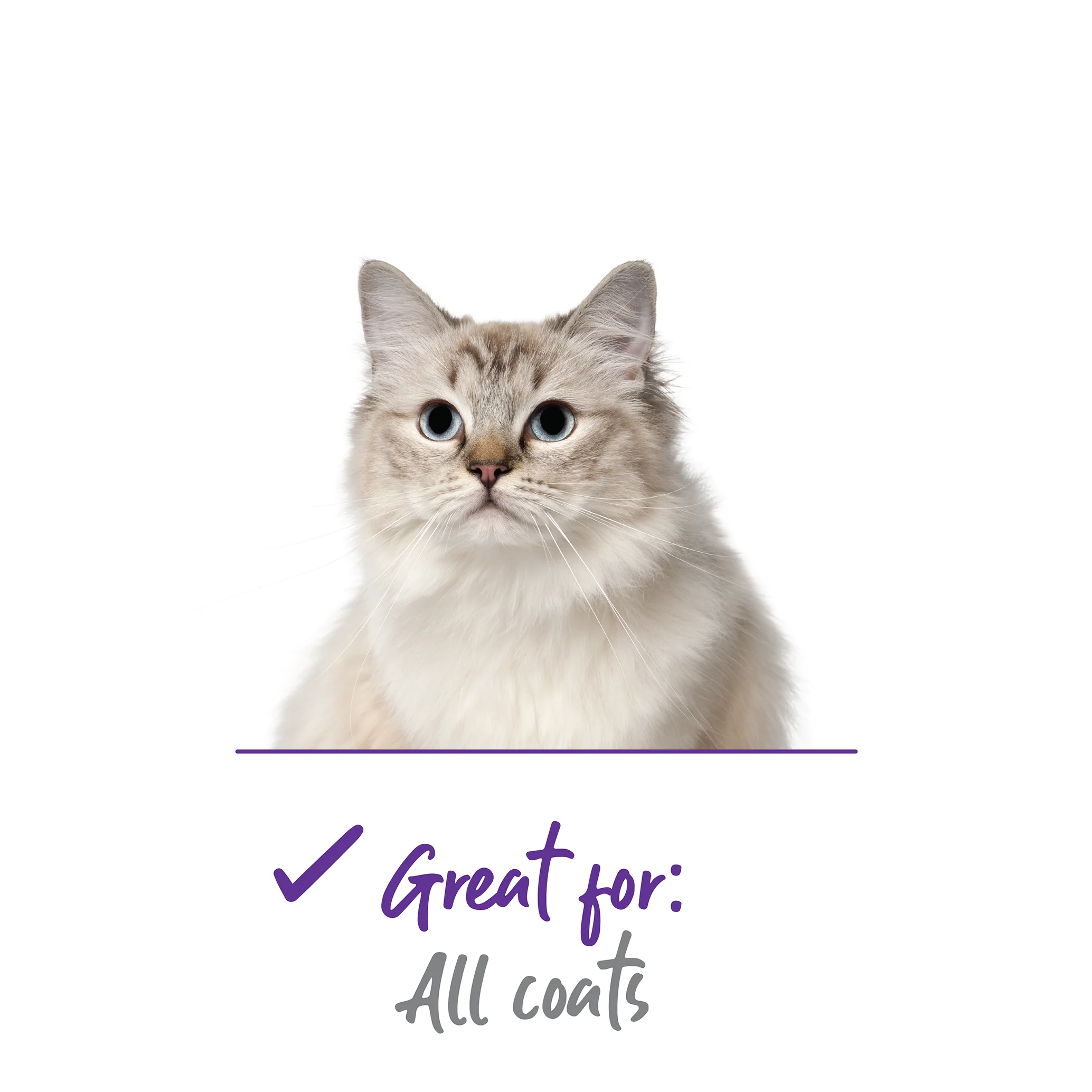Soft Cat Brush - Image 8