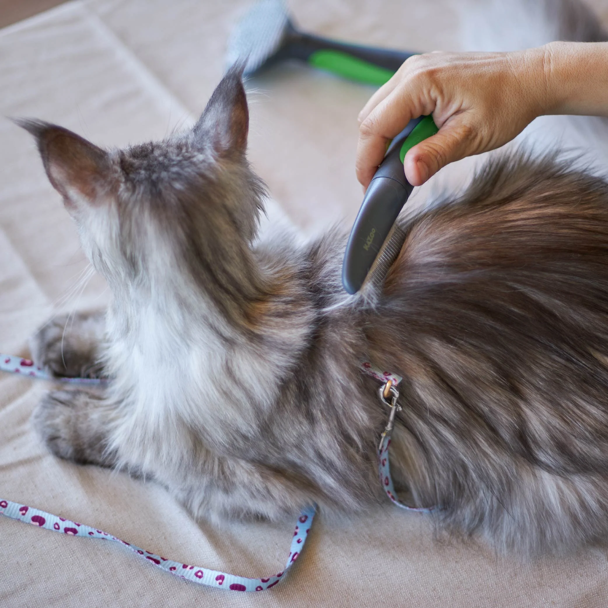 Cat Comb - Image 11