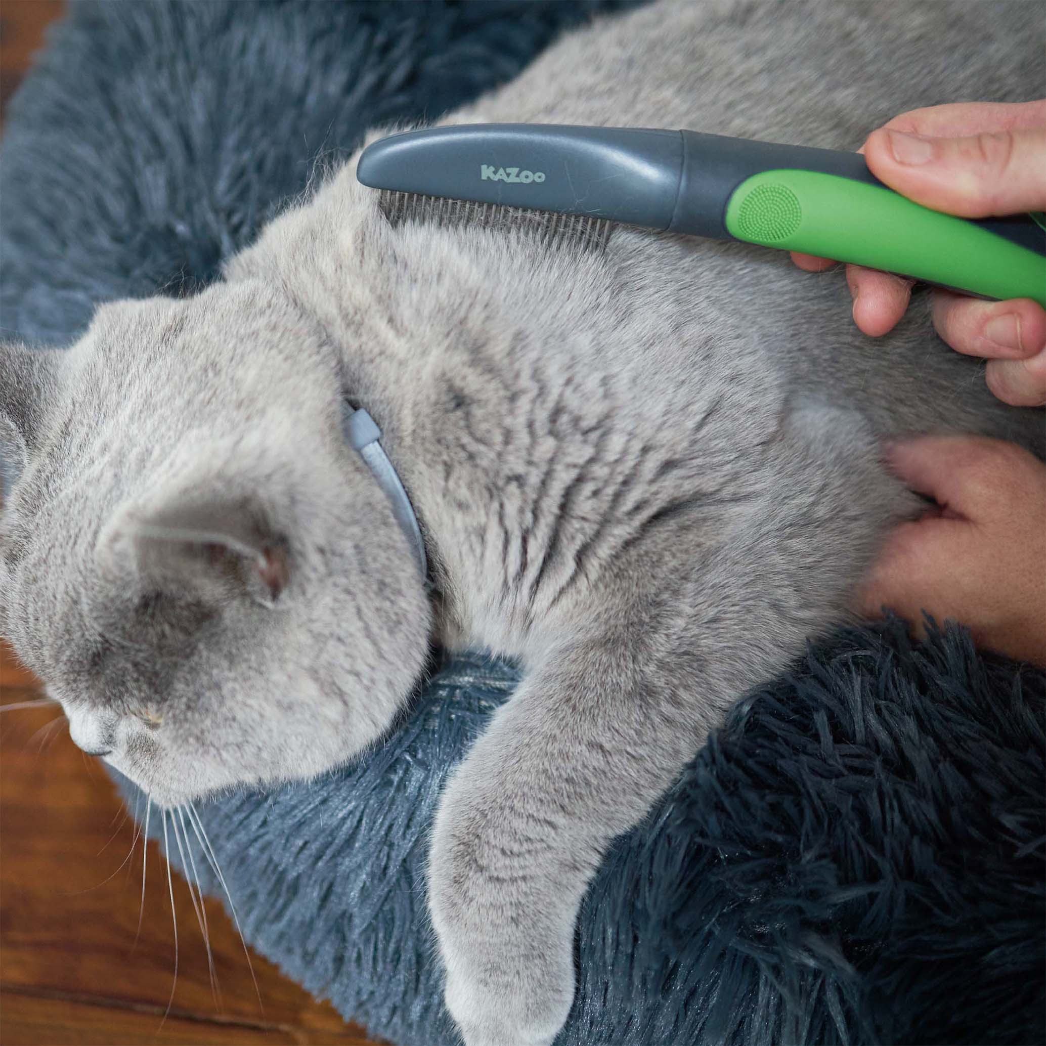 Cat Comb - Image 12