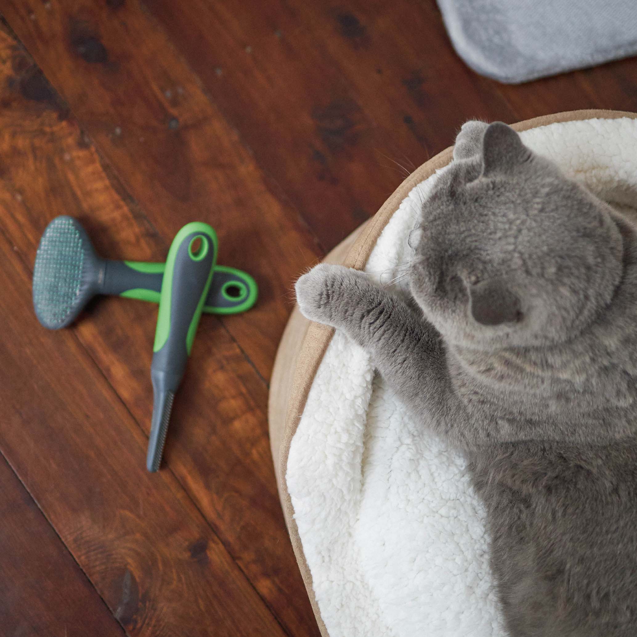 Cat Comb - Image 13