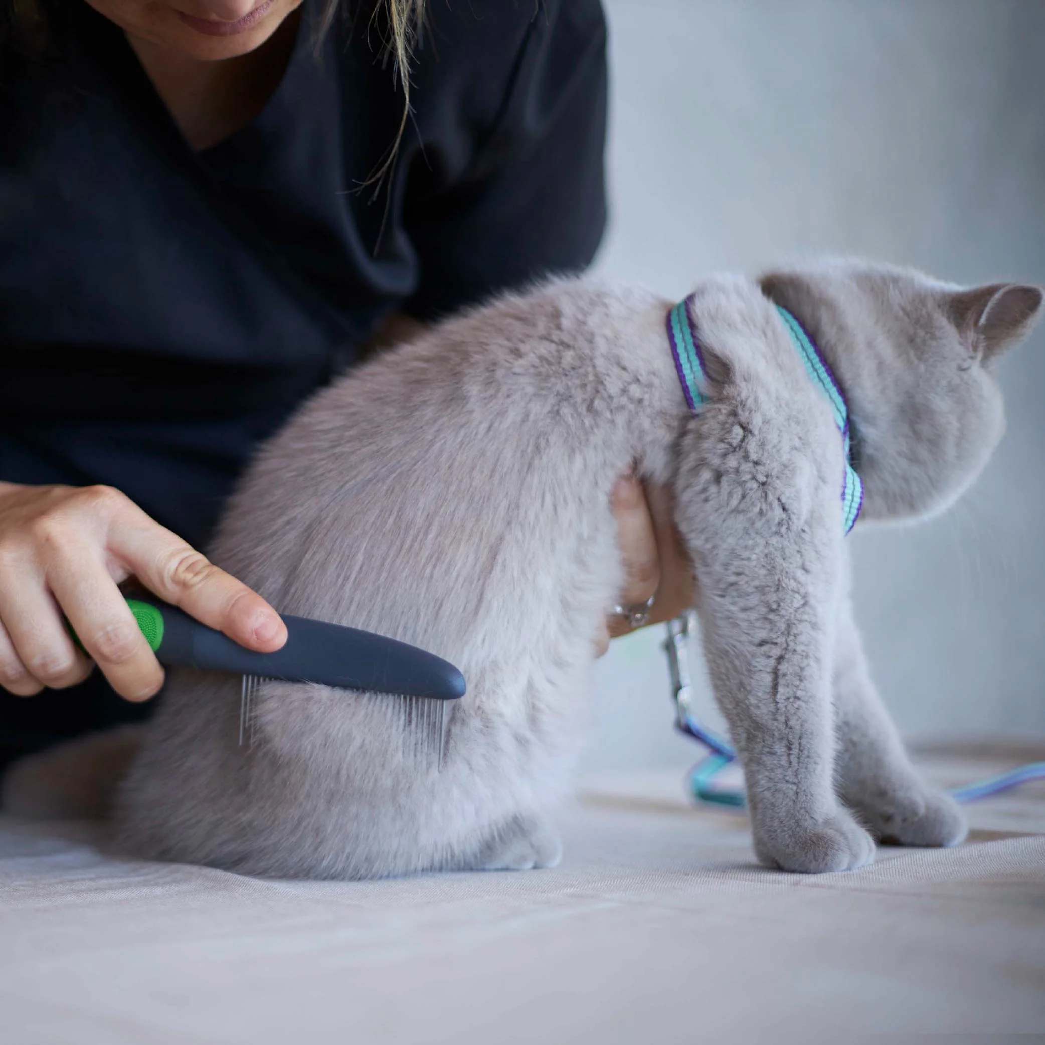 Cat Comb - Image 5