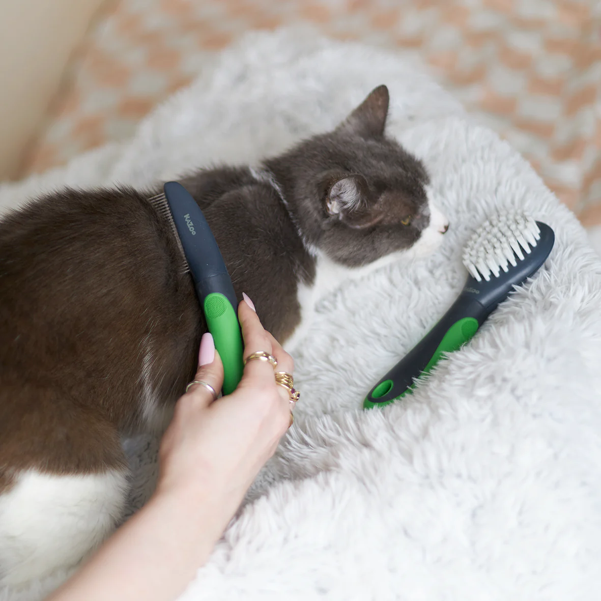 Cat Comb - Image 8