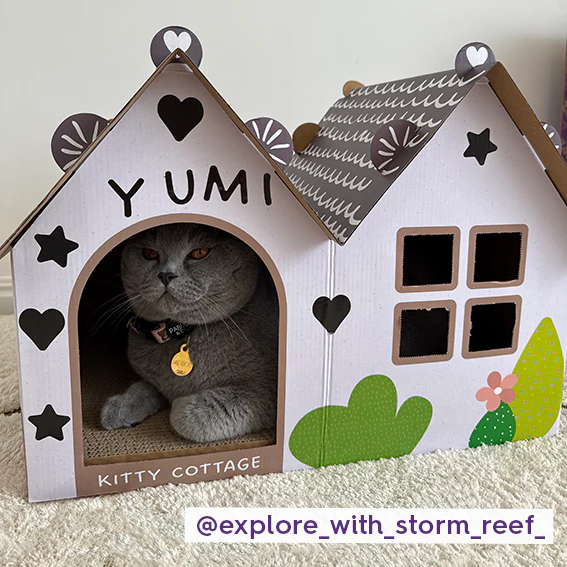 Cat Cottage Cardboard House - Image 3