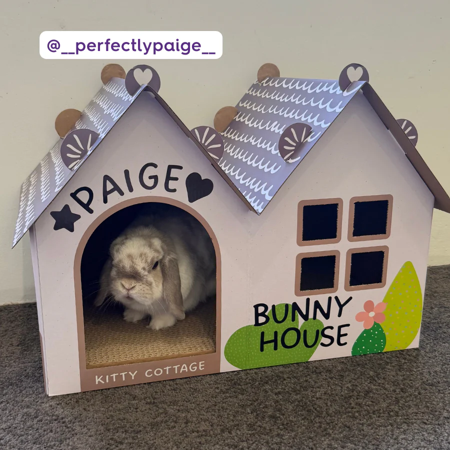 Cat Cottage Cardboard House - Image 4