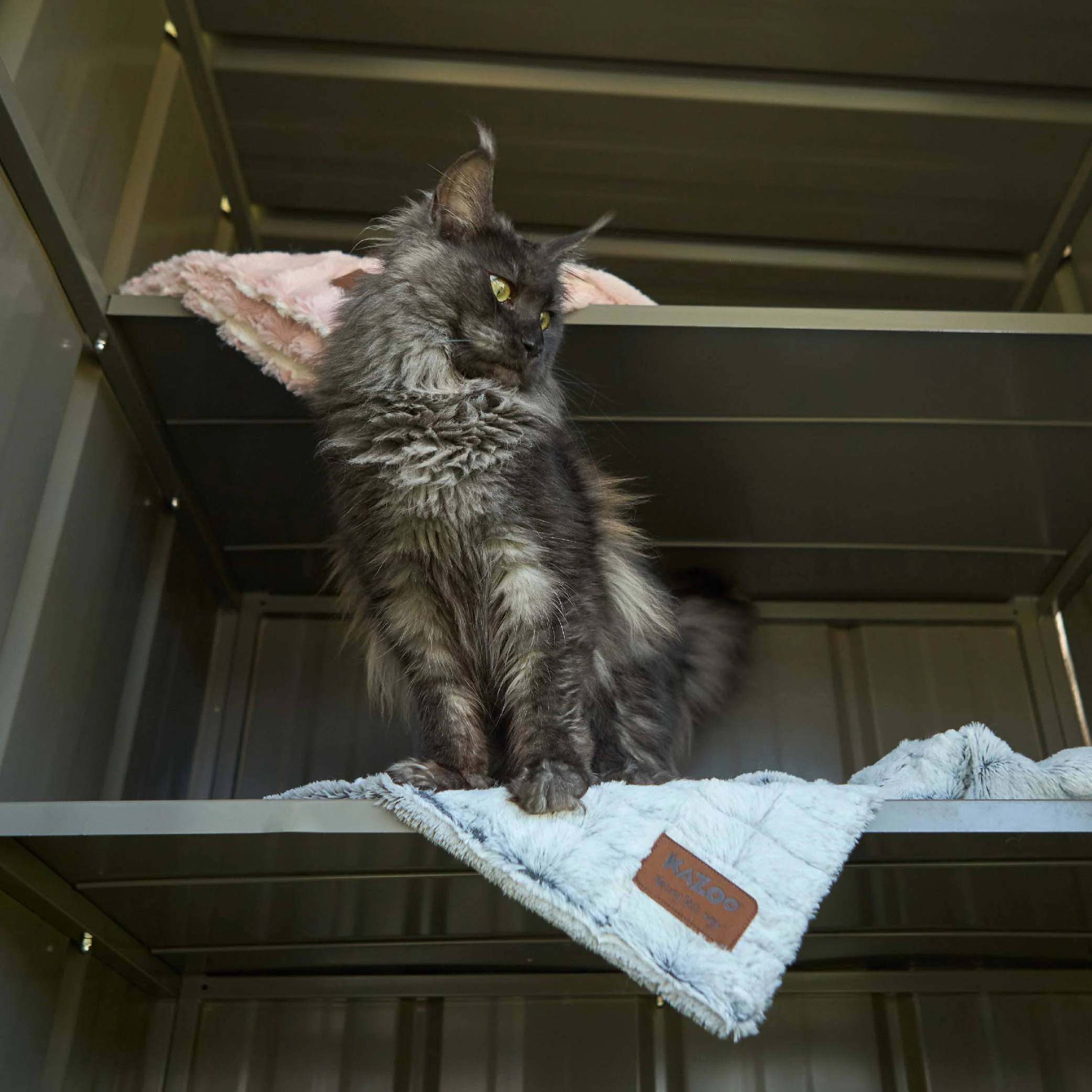 Outdoor Cat House - Main Enclosure - Image 6