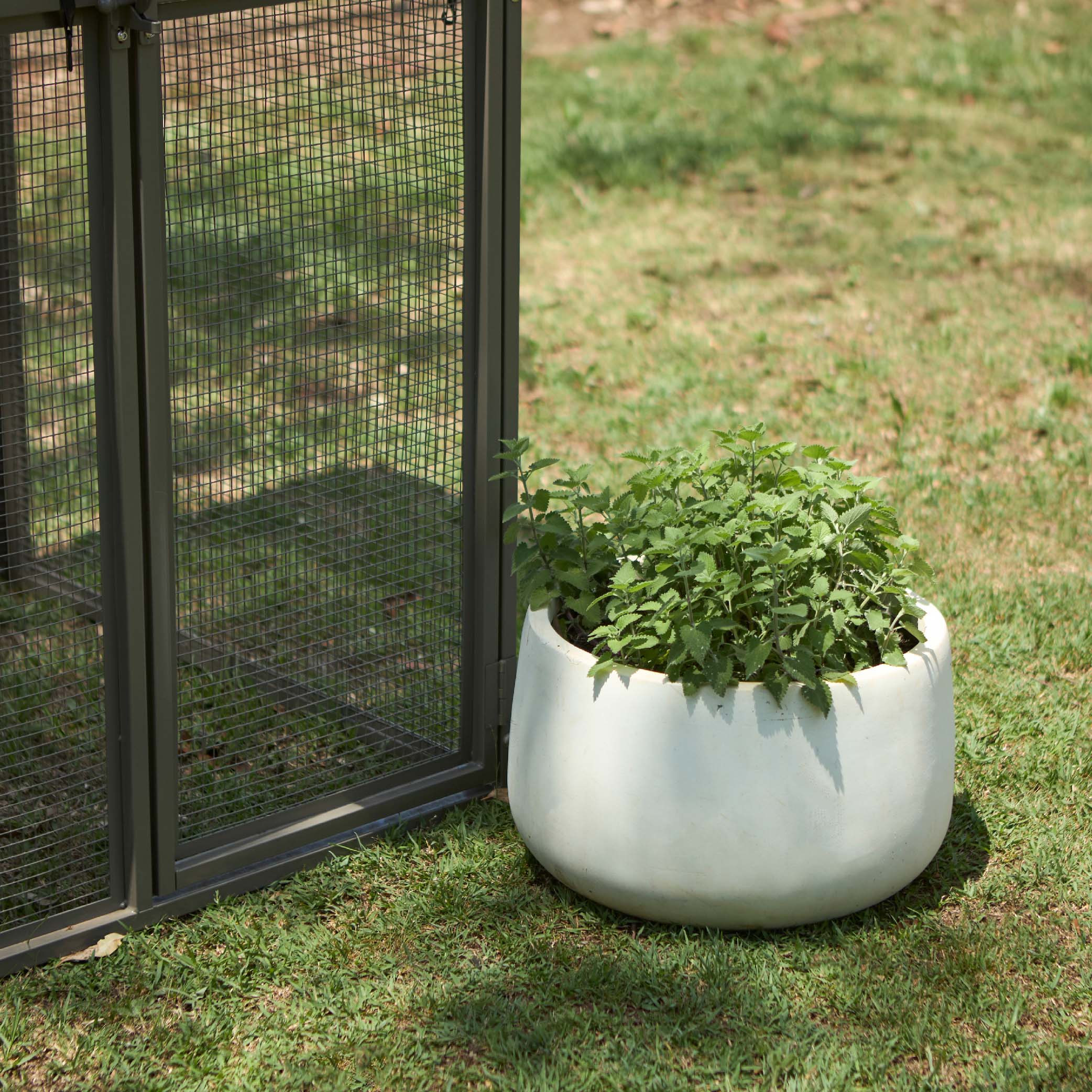 Outdoor Cat House - Sun House - Image 4