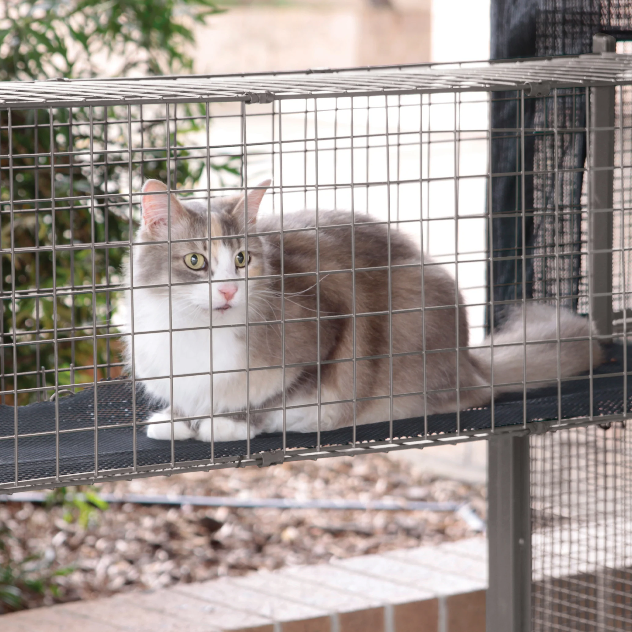 Outdoor Cat House - Cat Tunnel - Image 11