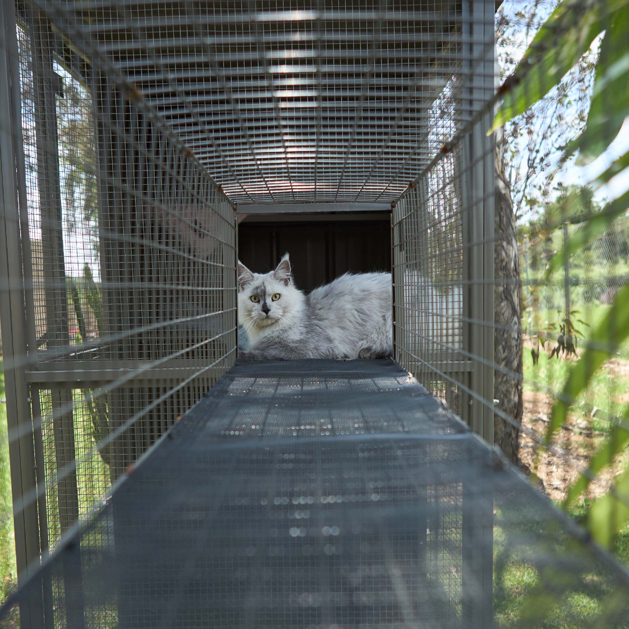 Outdoor Cat House - Cat Tunnel - Image 6