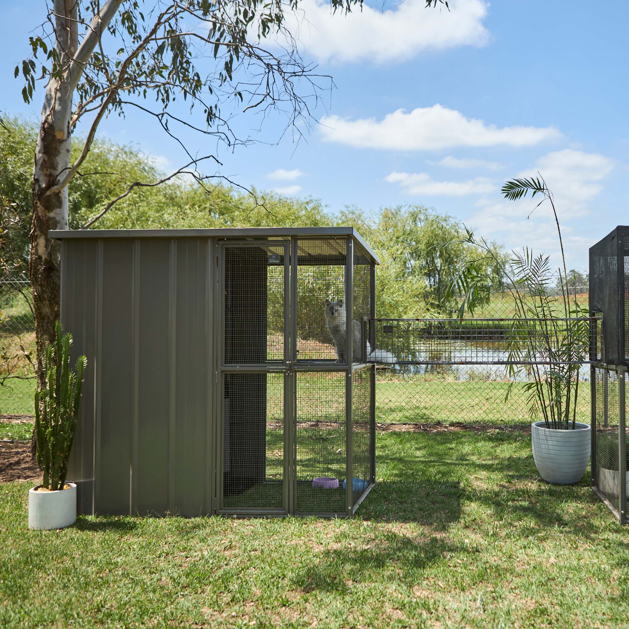 Outdoor Cat House - Cat Tunnel - Image 7