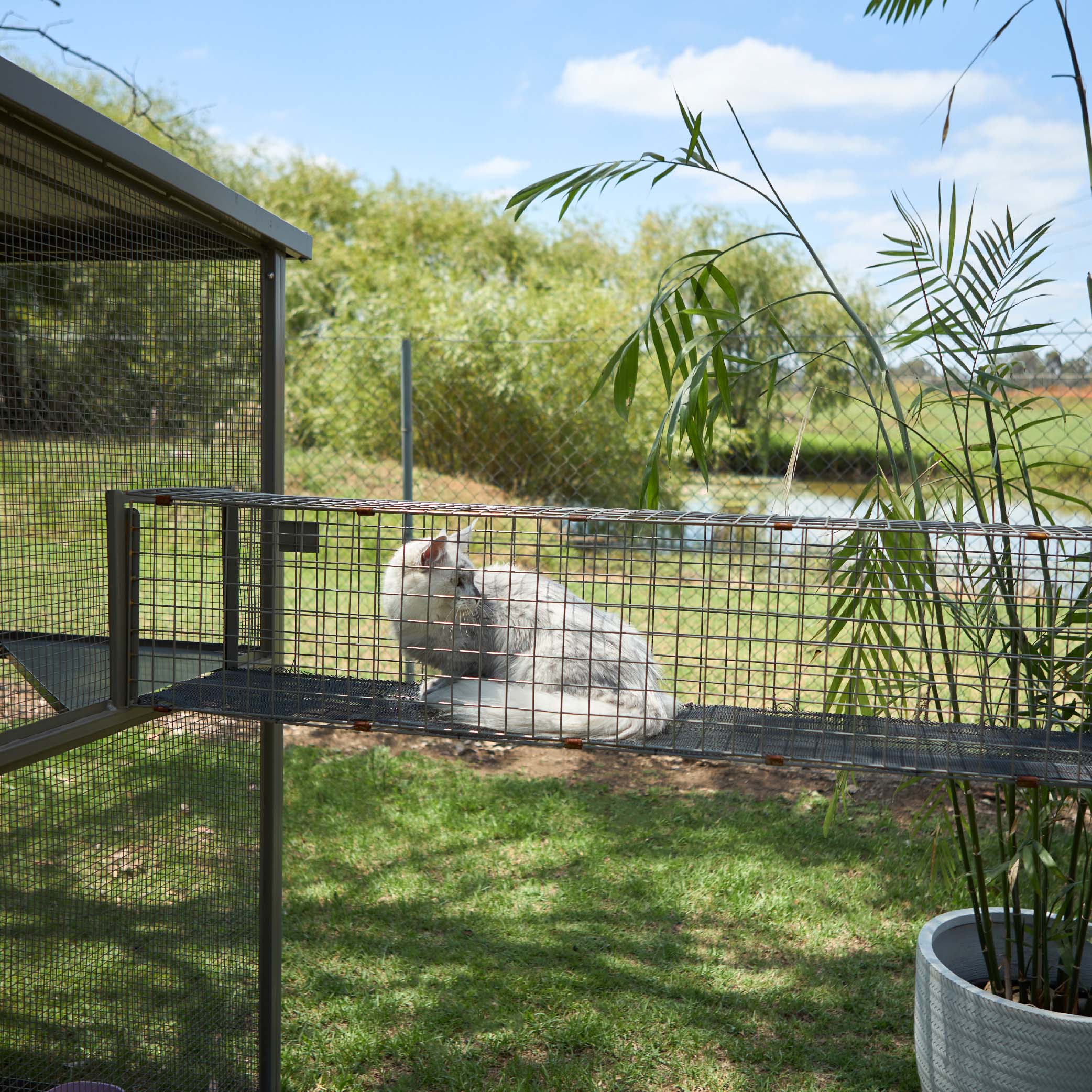 Outdoor Cat House - Cat Tunnel - Image 8