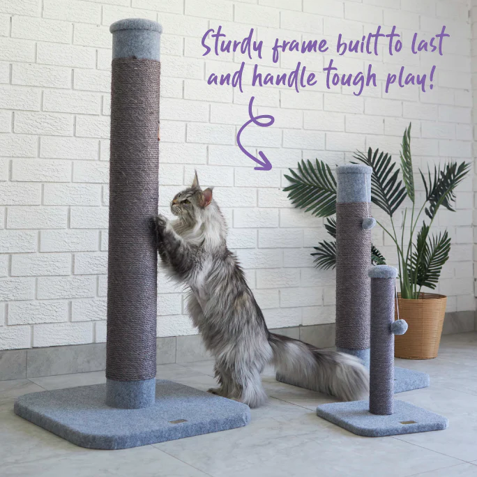 Cat Scratch Post - Ash Carpet - Small - Image 3