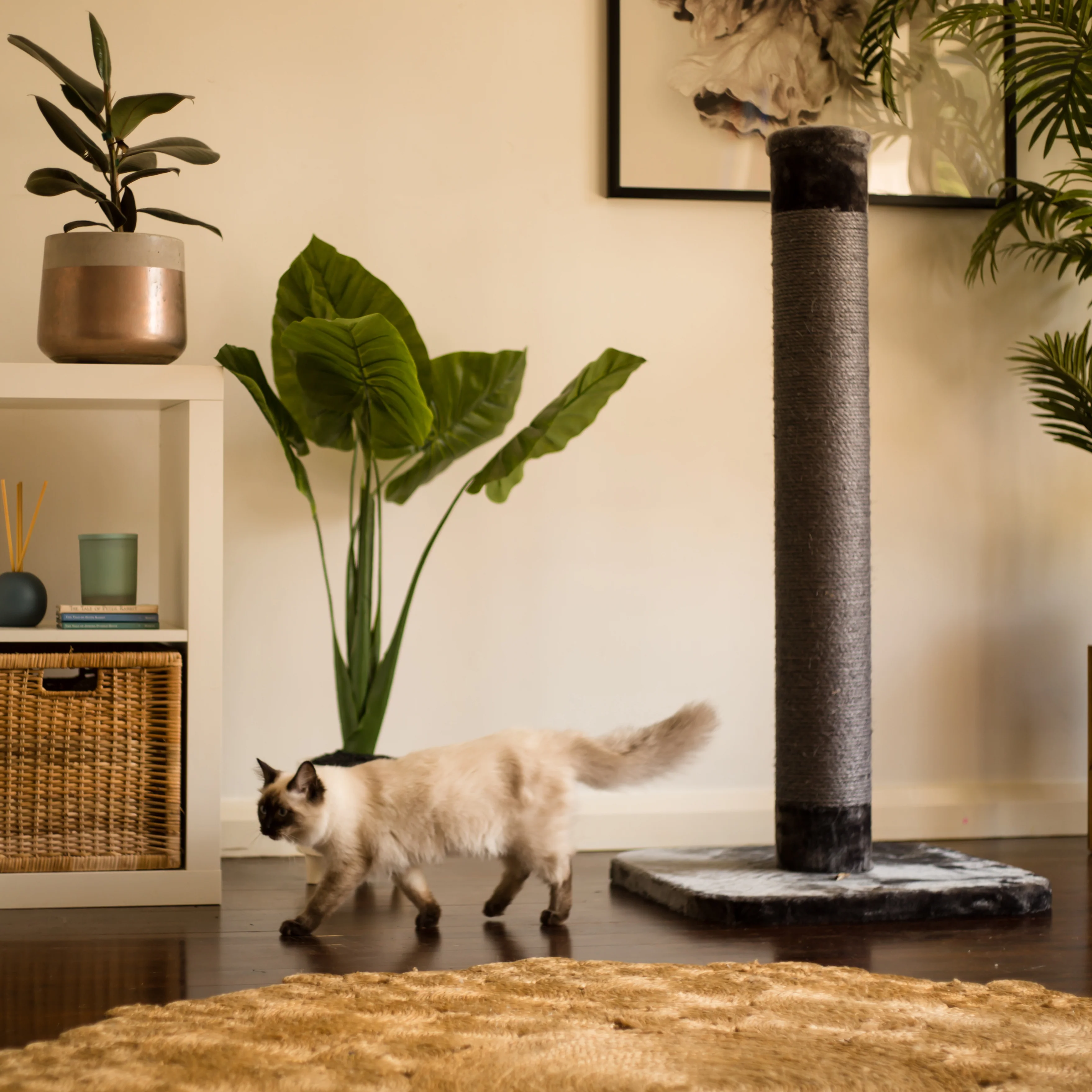 Cat Scratch Post - Grey - Large - Image 3