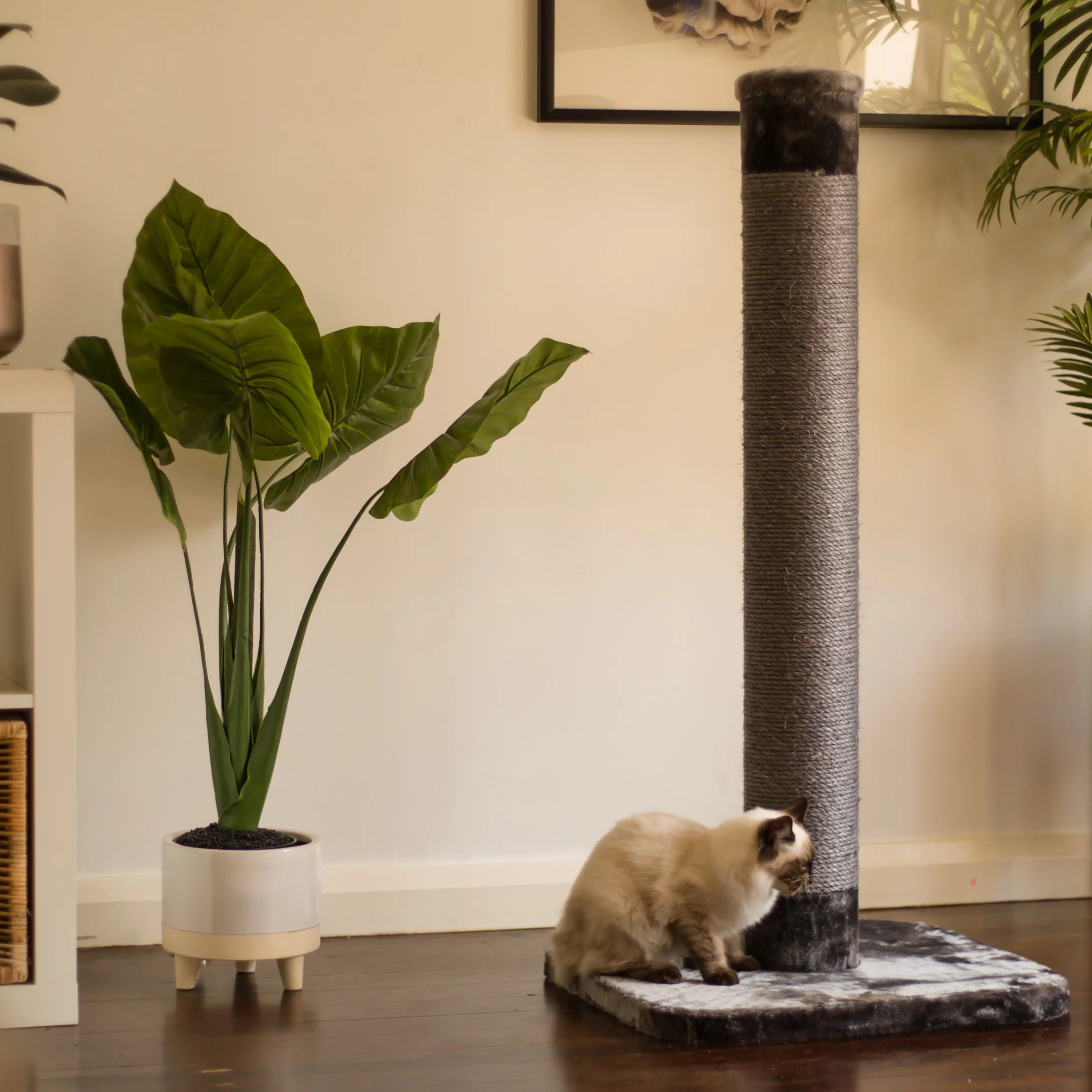 Cat Scratch Post - Grey - Large - Image 4