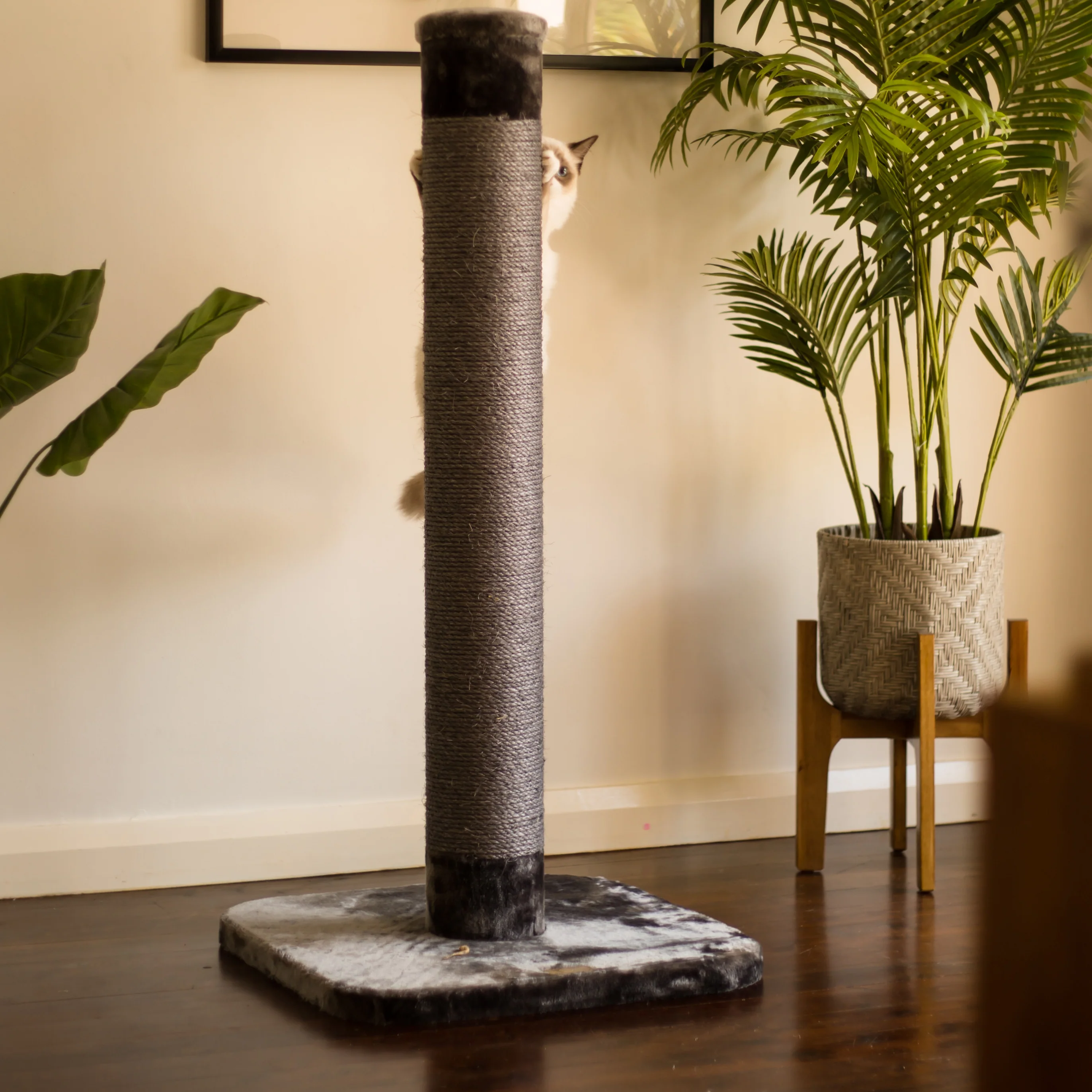 Cat Scratch Post - Grey - Large - Image 5