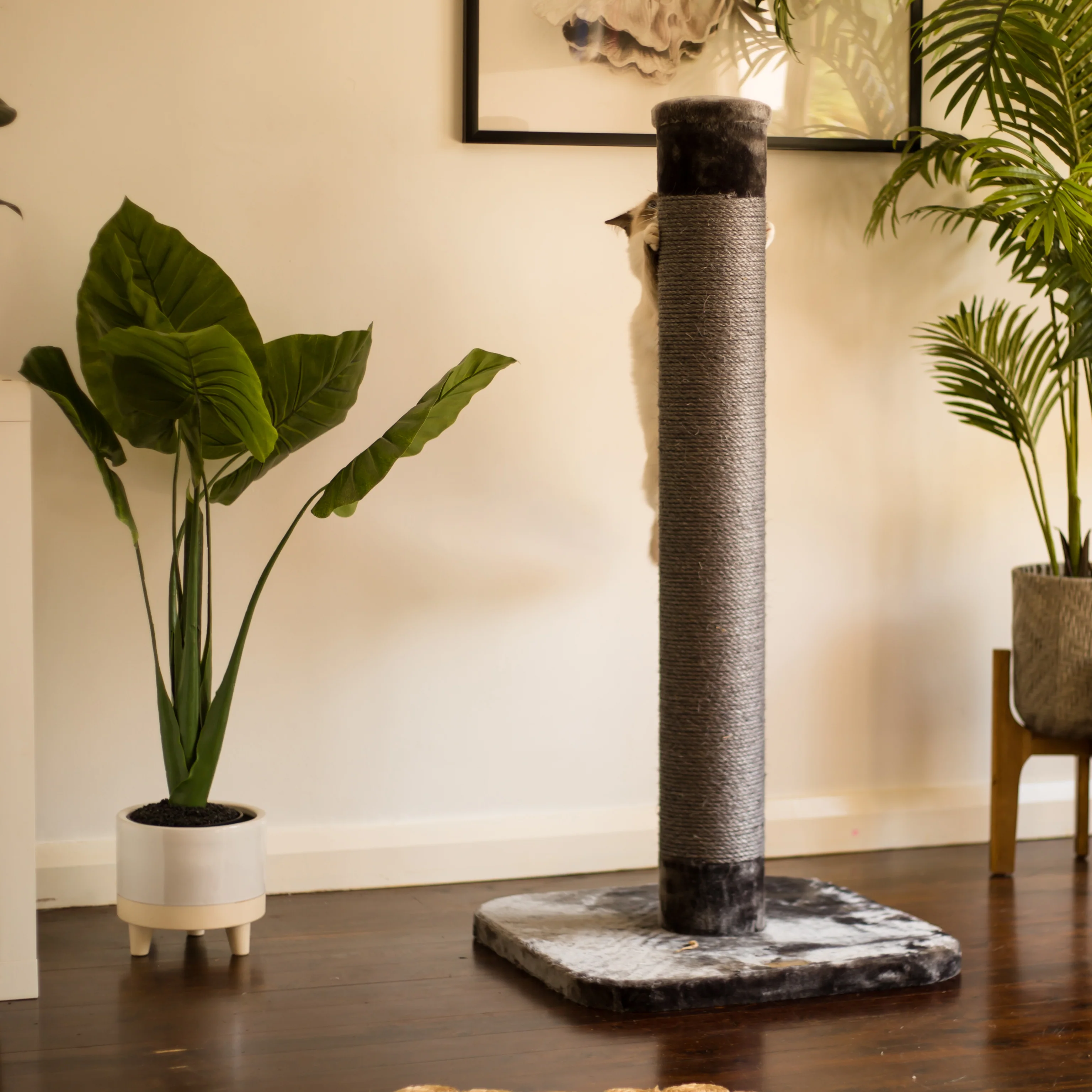 Cat Scratch Post - Grey - Large - Image 6