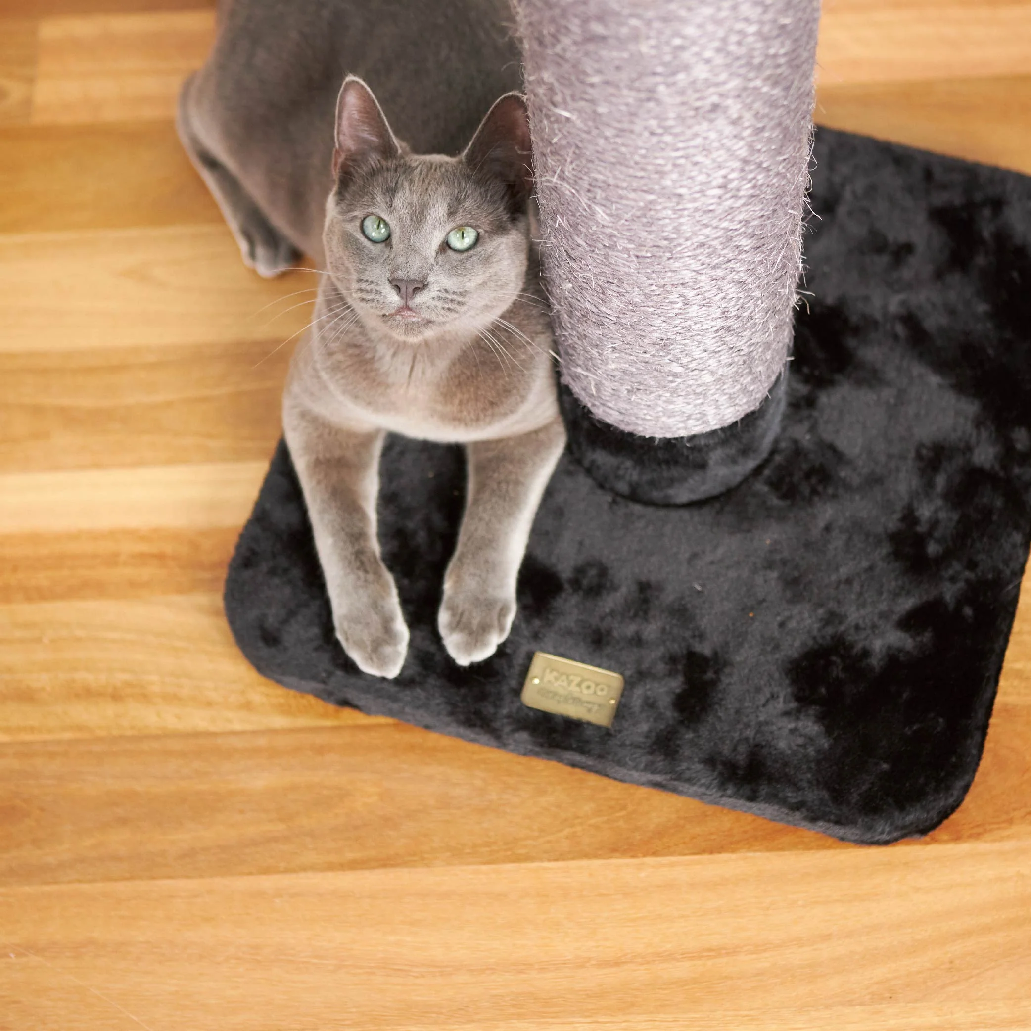 Cat Scratch Post - Medium - Image 5